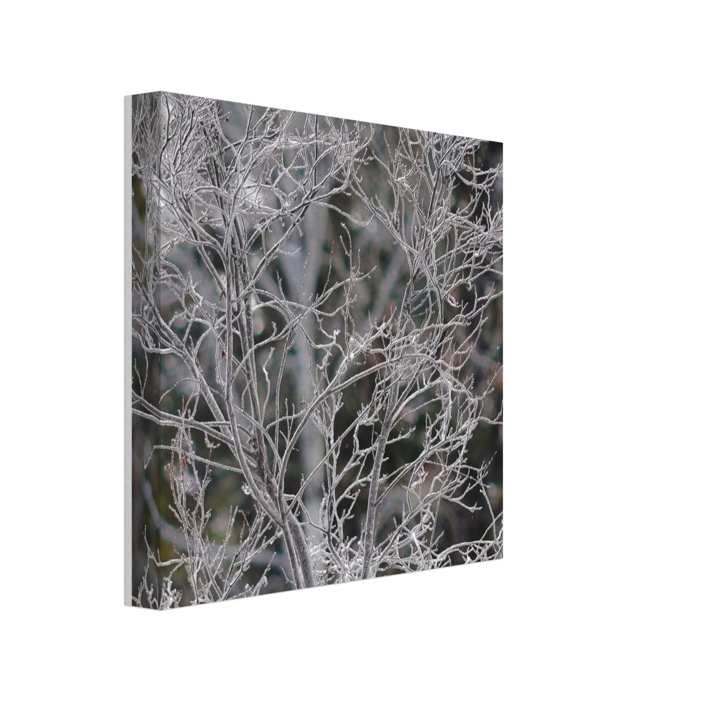 Ethereal Branches - Canvas