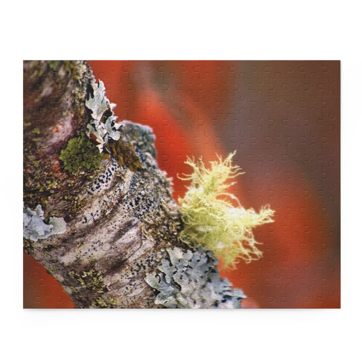 Moss On Branch - Puzzle