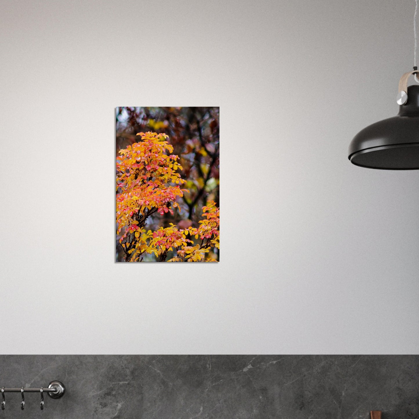 Fall Colors - Canvas