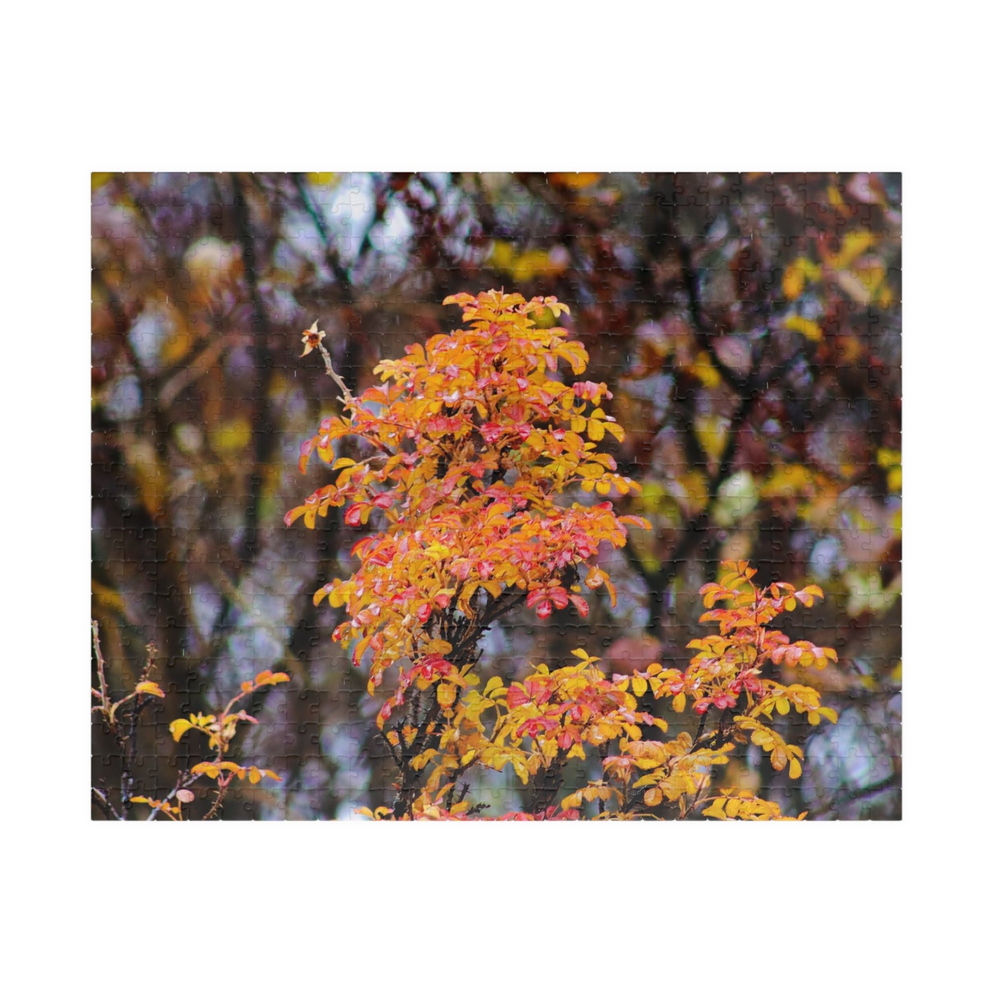 Fall Colors - Puzzle