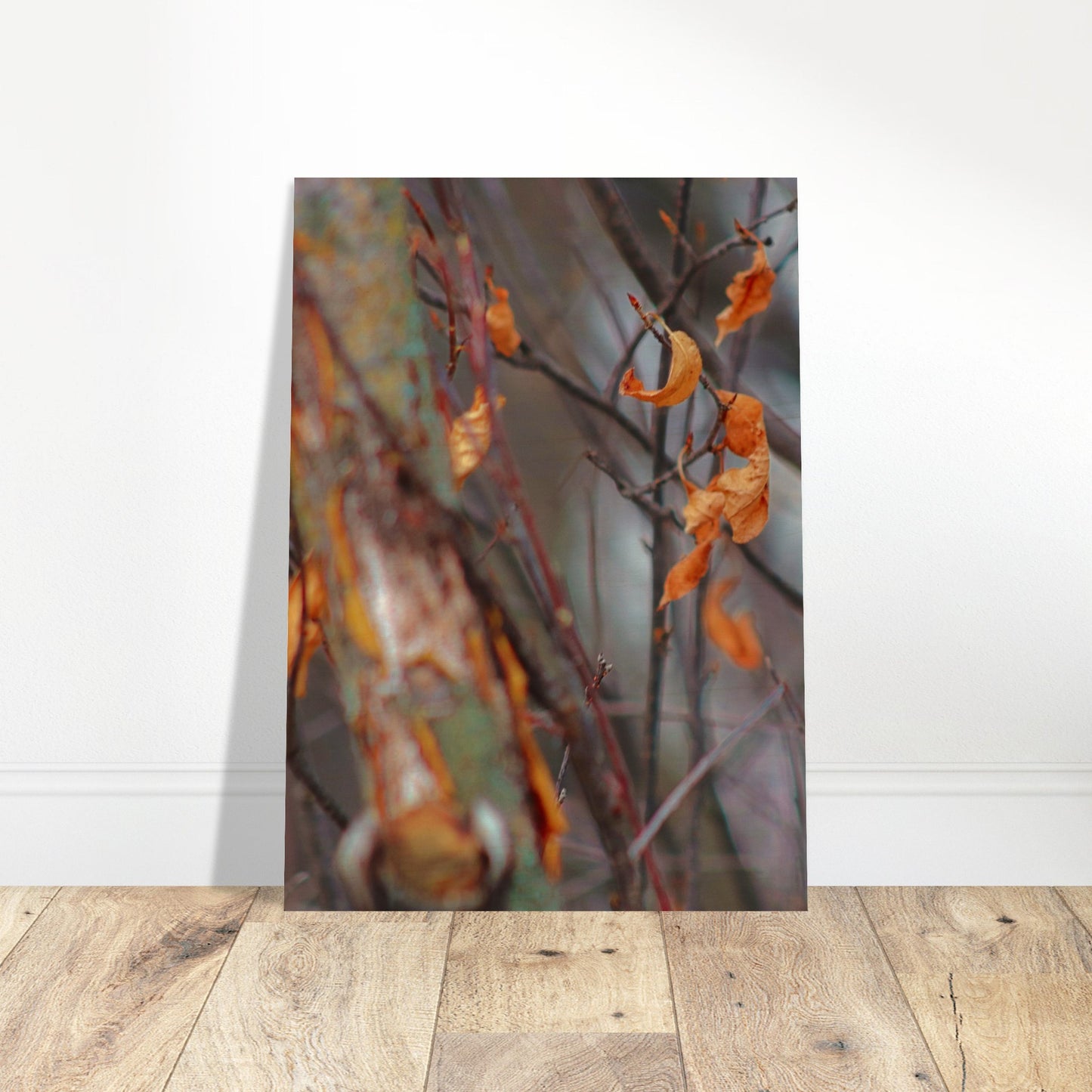 Floating Leaves - Wood Prints