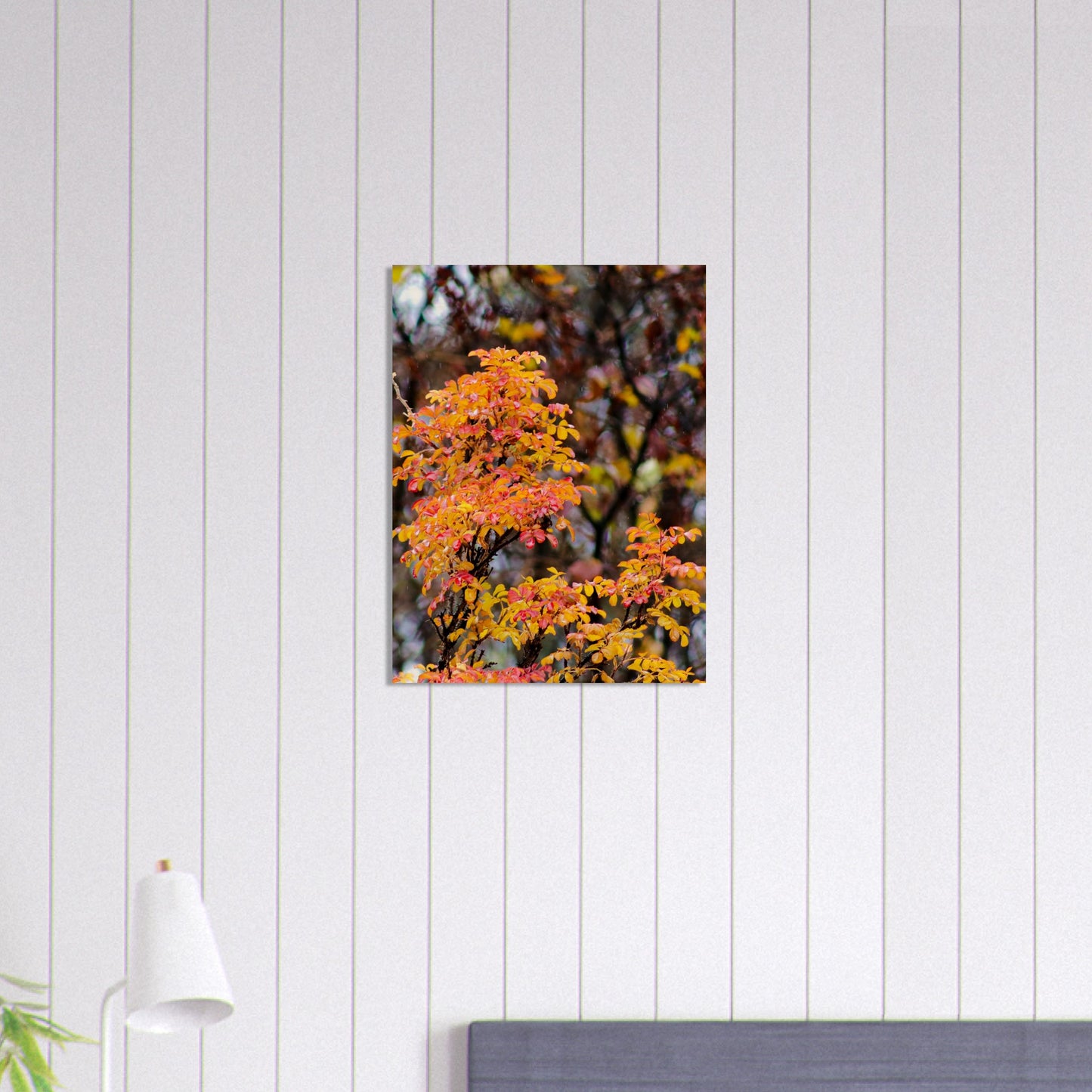 Fall Colors - Wood Prints