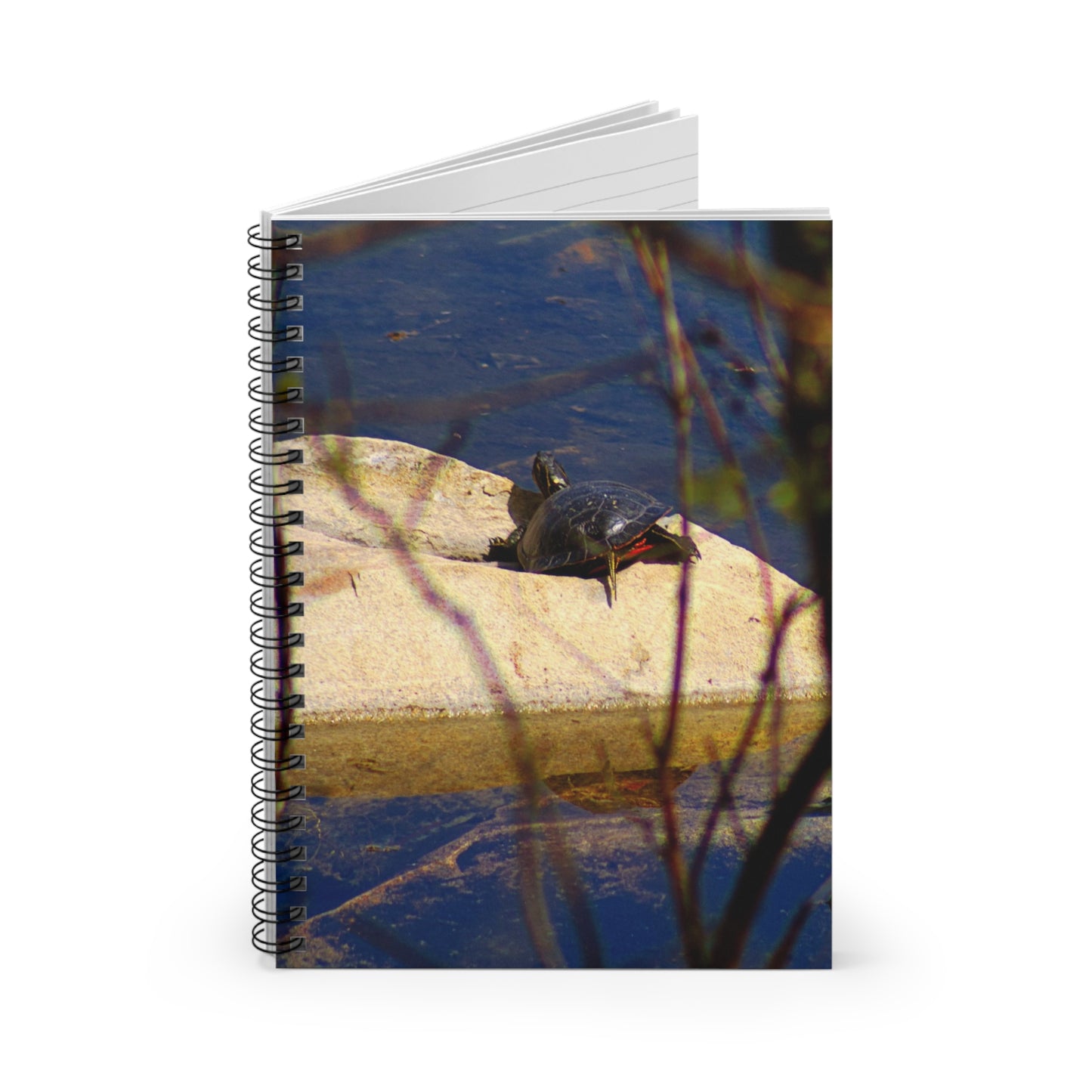 Turtle - Spiral Notebook