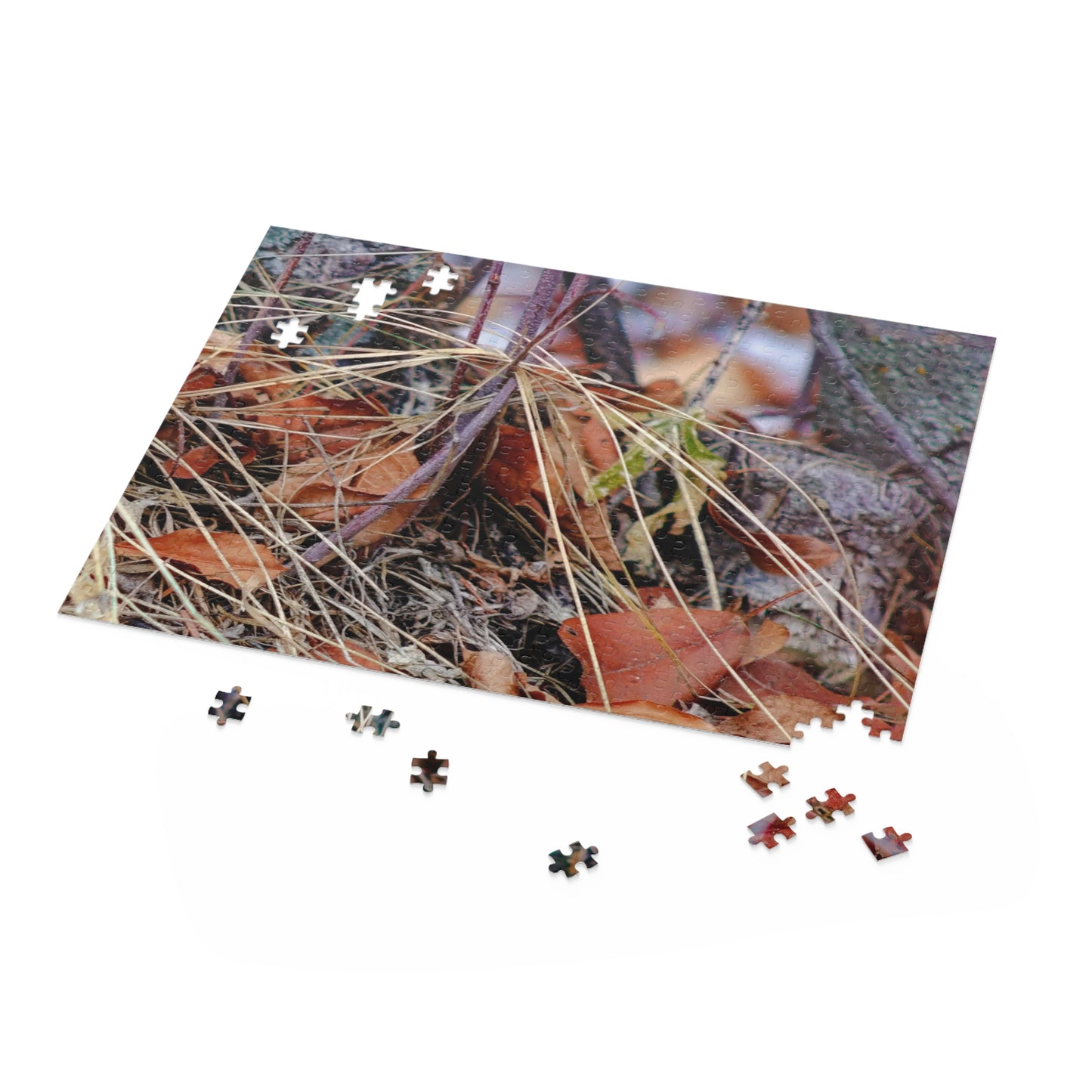 Forest Floor - Puzzle