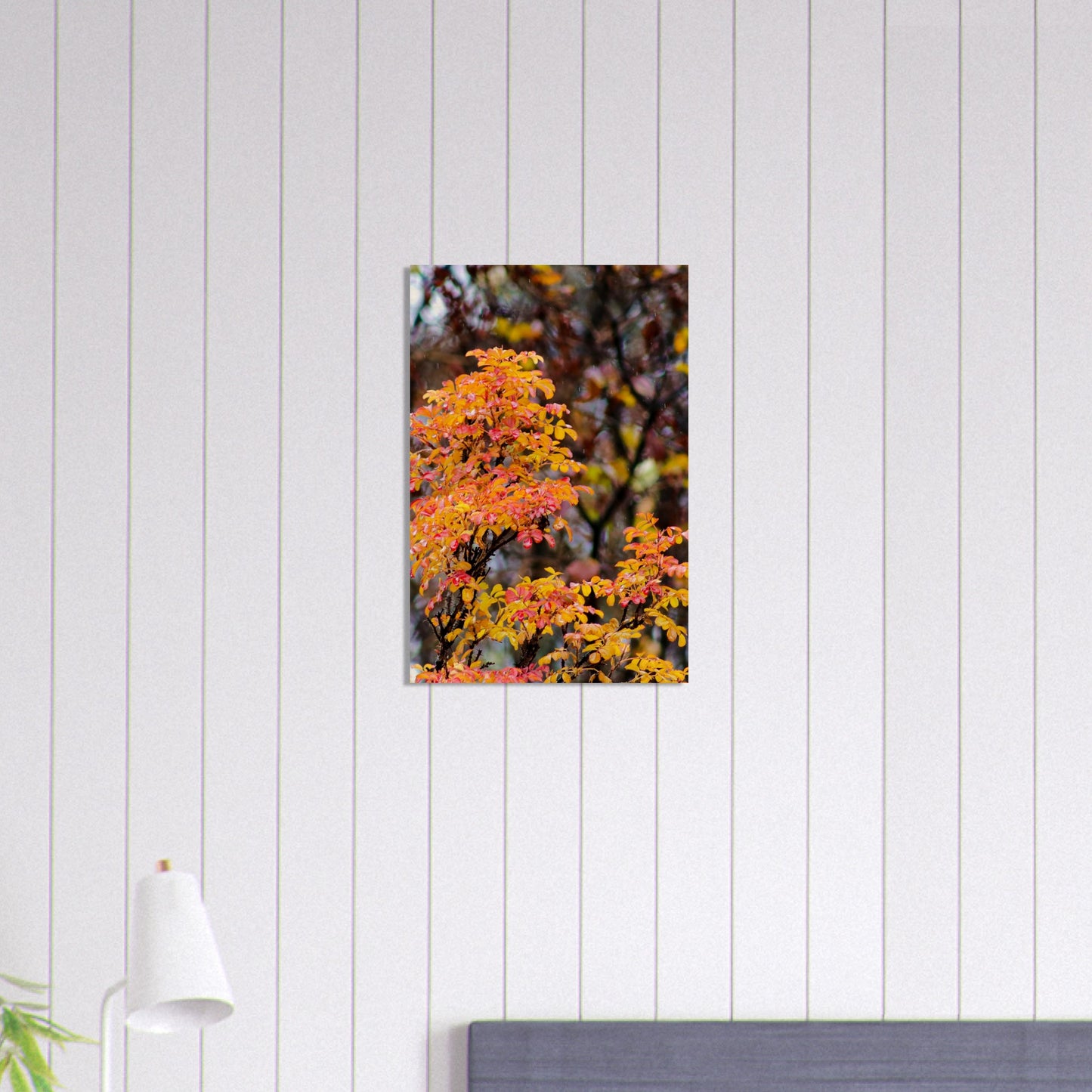 Fall Colors - Wood Prints