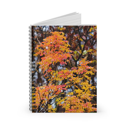 Fall Colors - Spiral Notebook