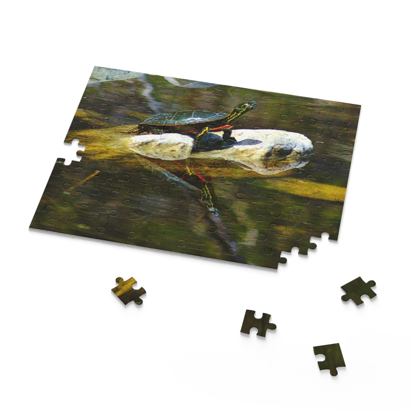 Turtle - Puzzle