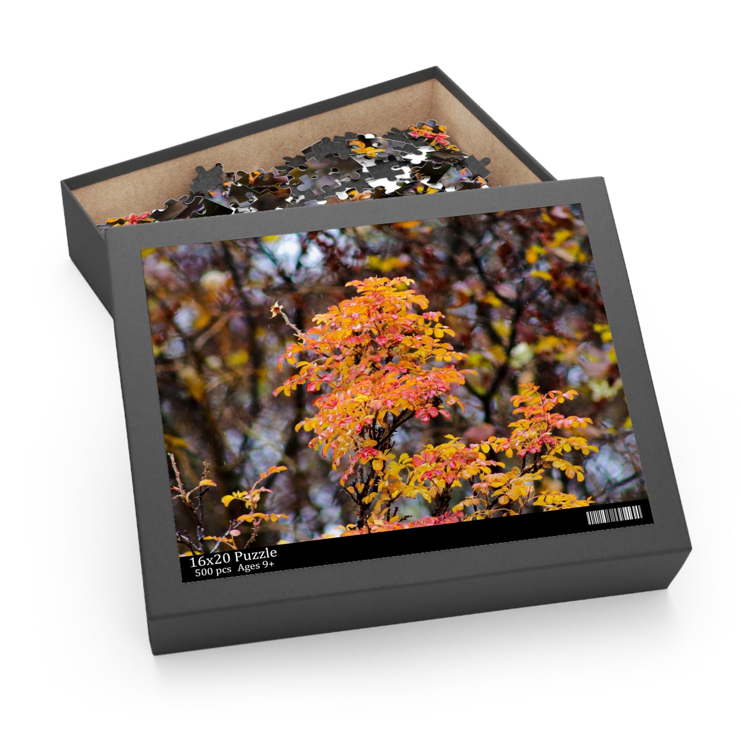 Fall Colors - Puzzle