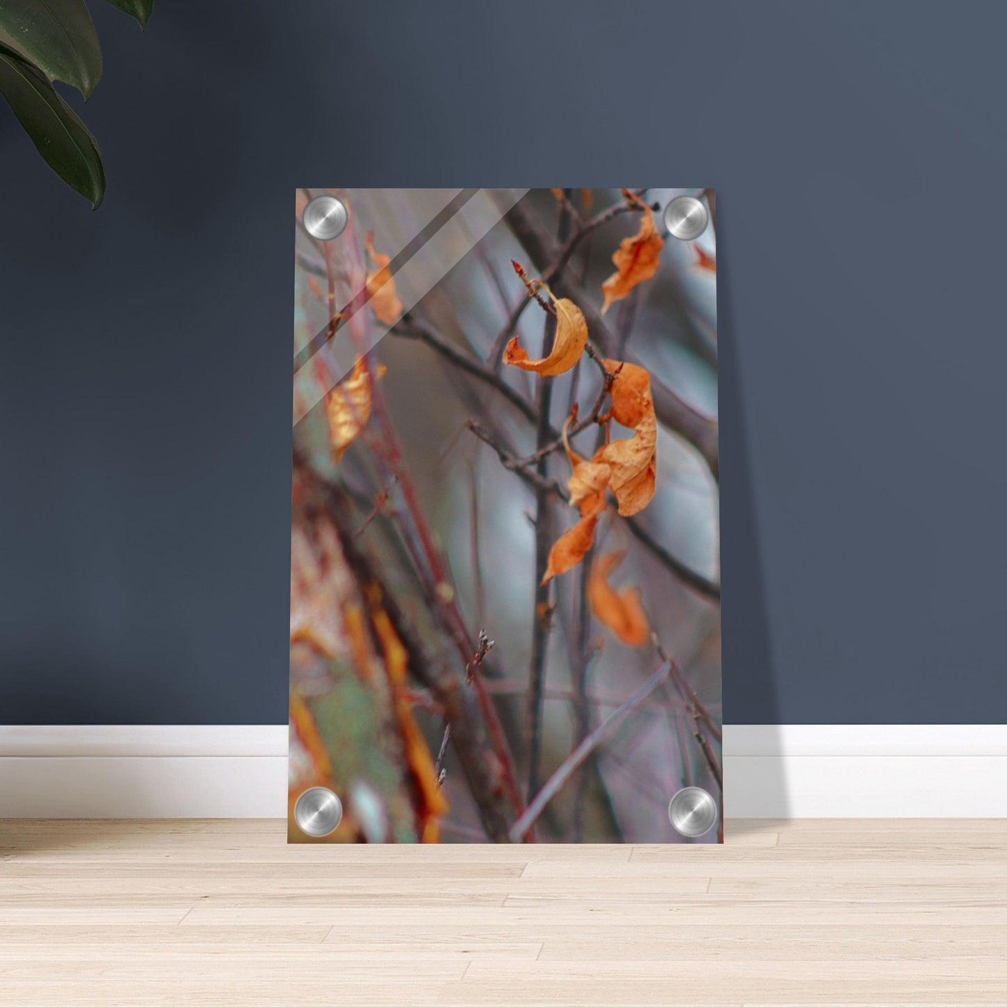 Floating Leaves - Acrylic Print