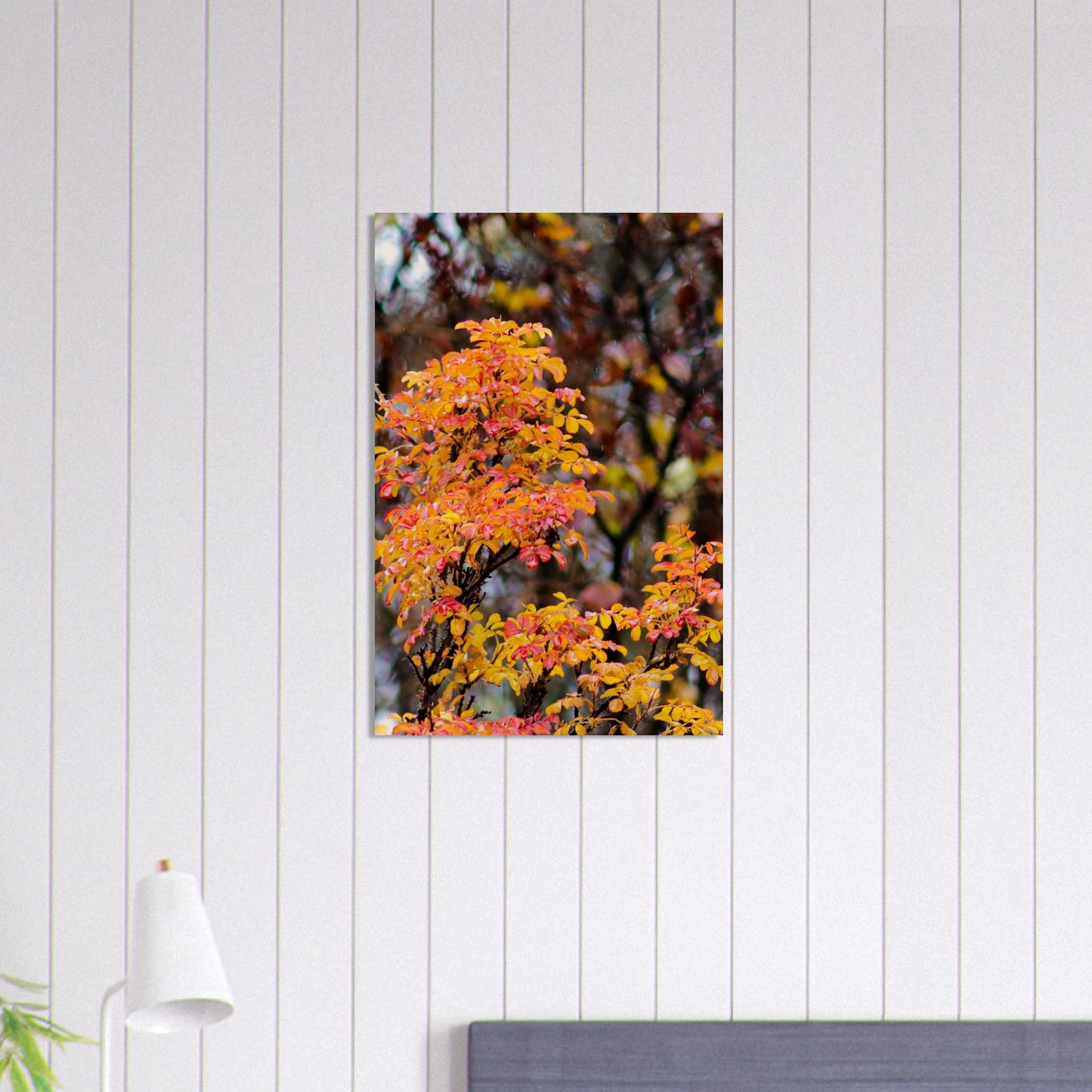 Fall Colors - Wood Prints