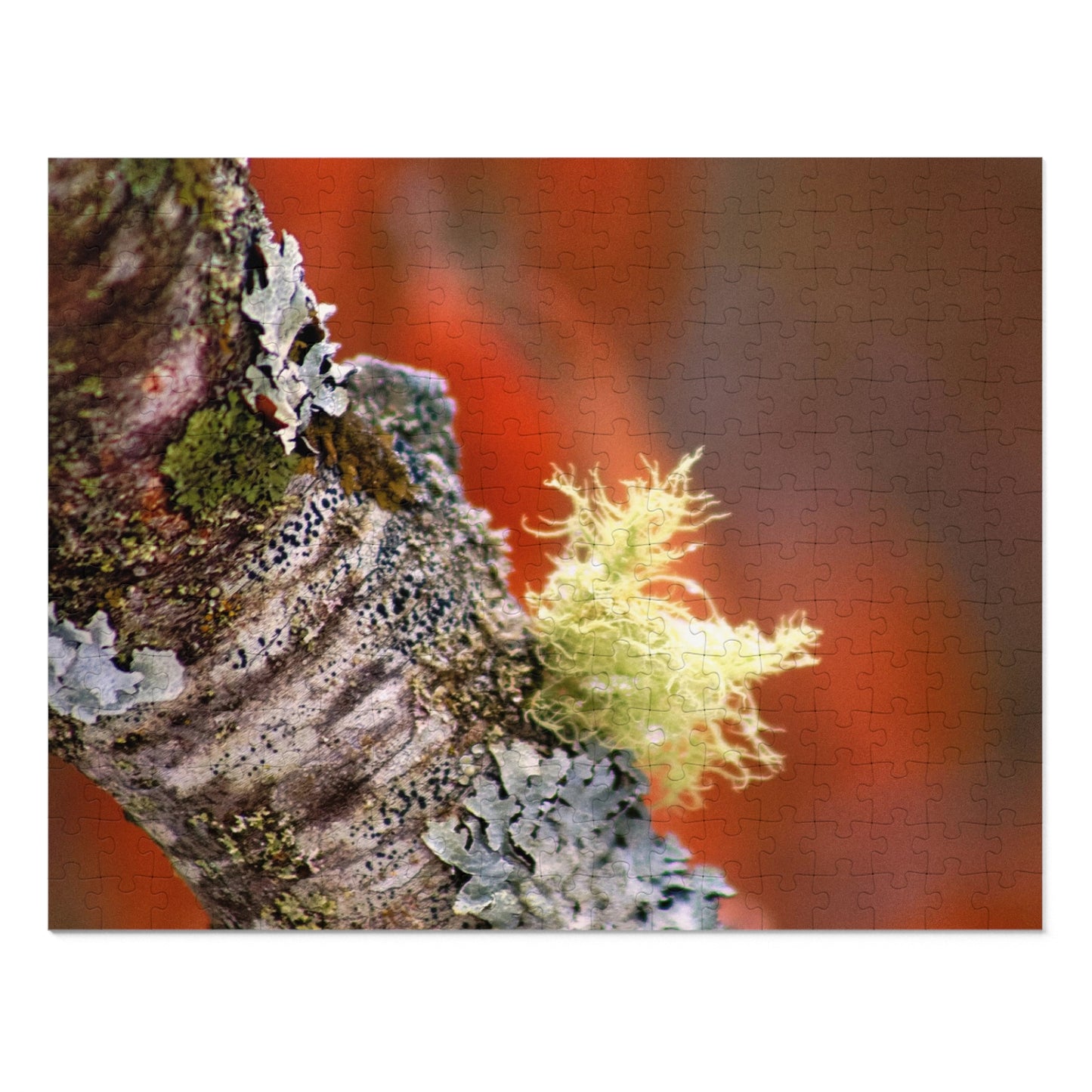 Moss On Branch - Puzzle