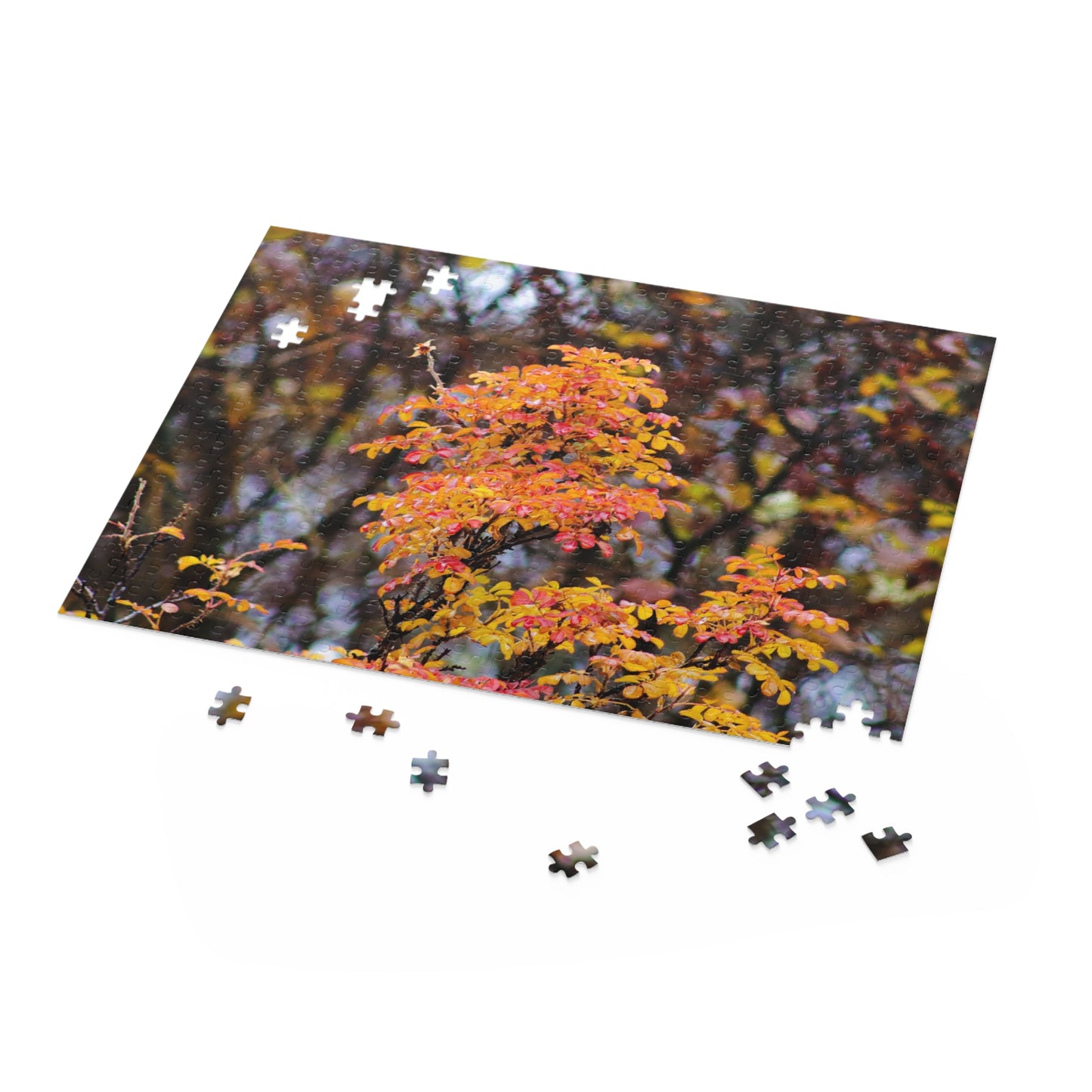 Fall Colors - Puzzle