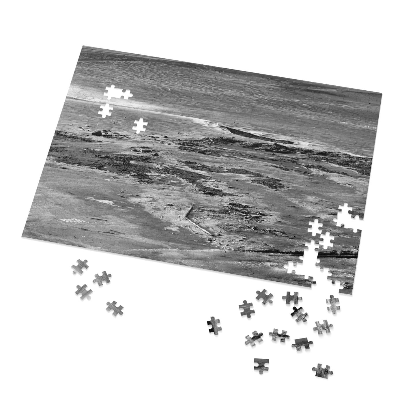 Winter Beach - Puzzle