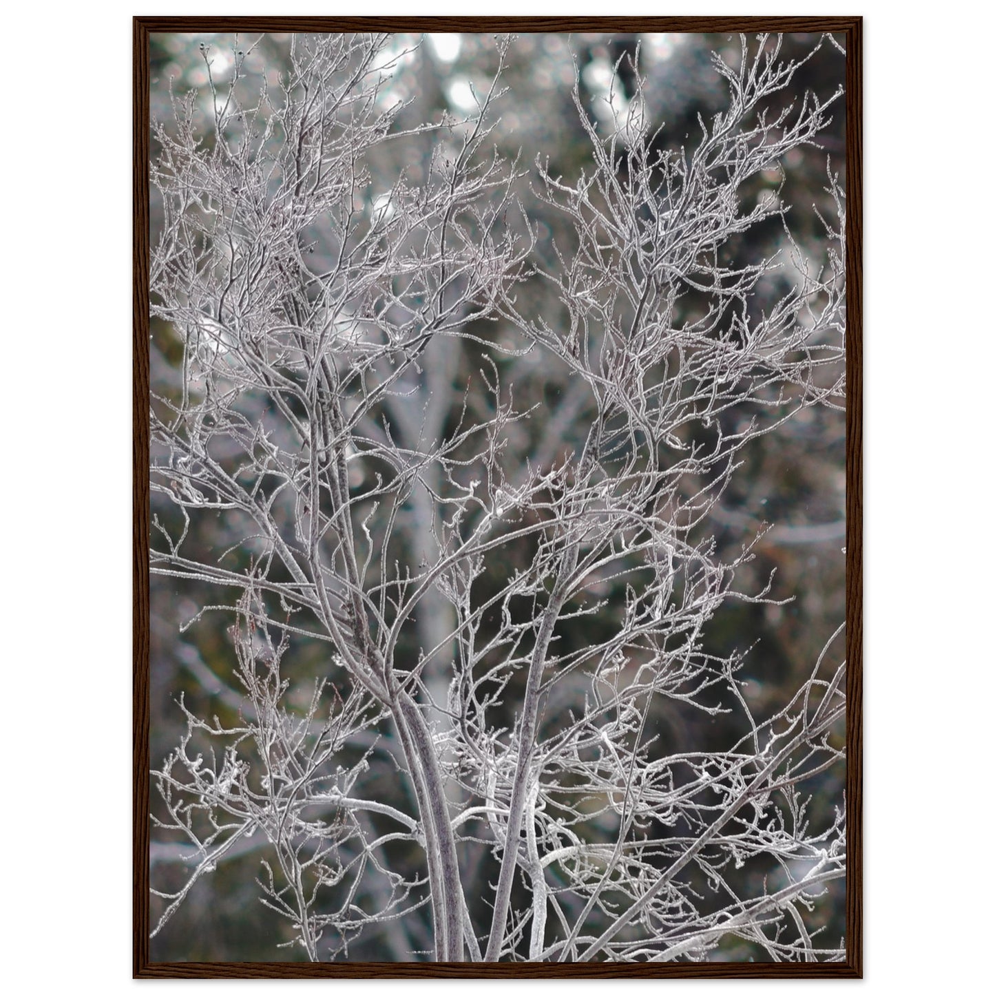 Ethereal Branches - Wooden Framed Poster