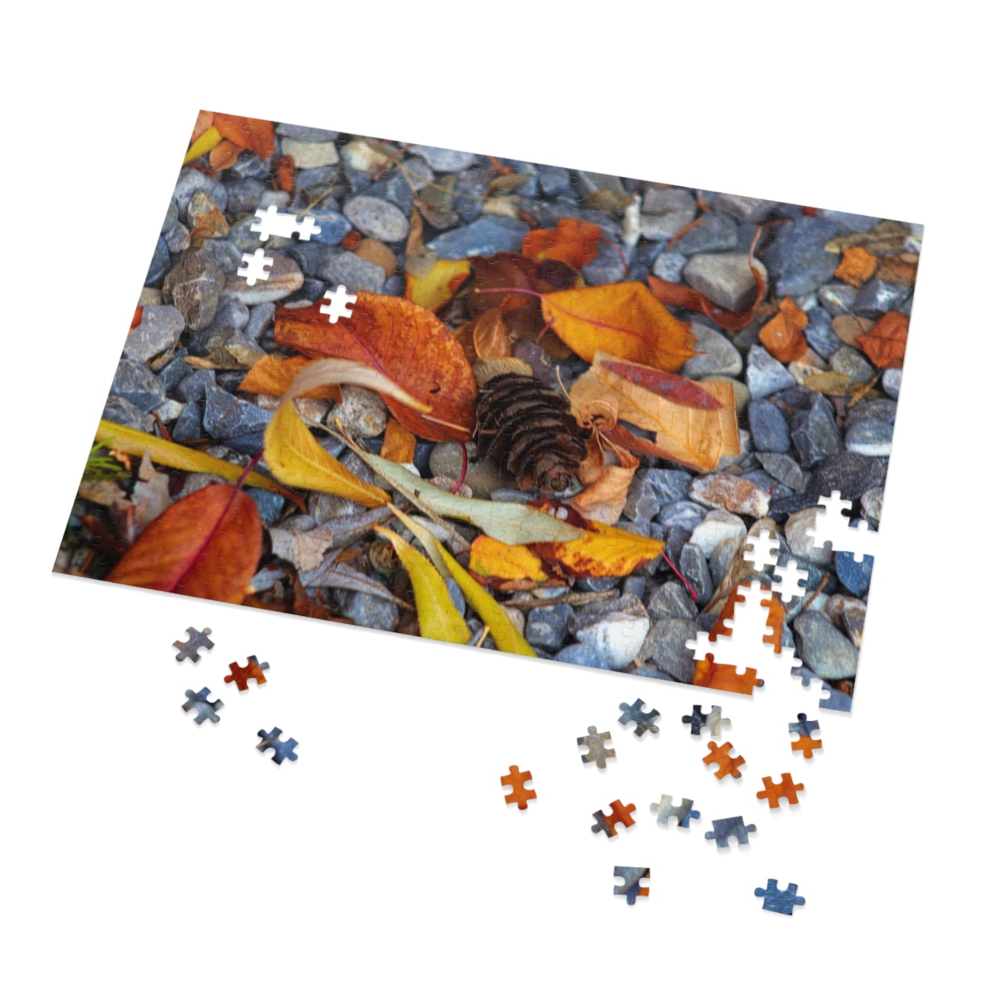 Leaves On Rocks - Puzzle