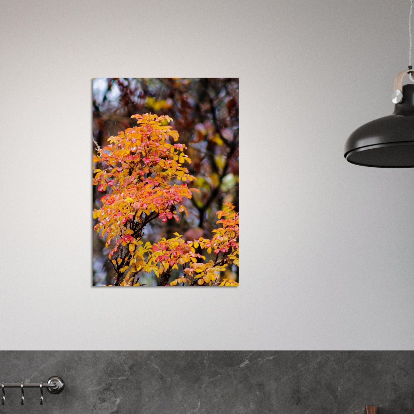 Fall Colors - Canvas