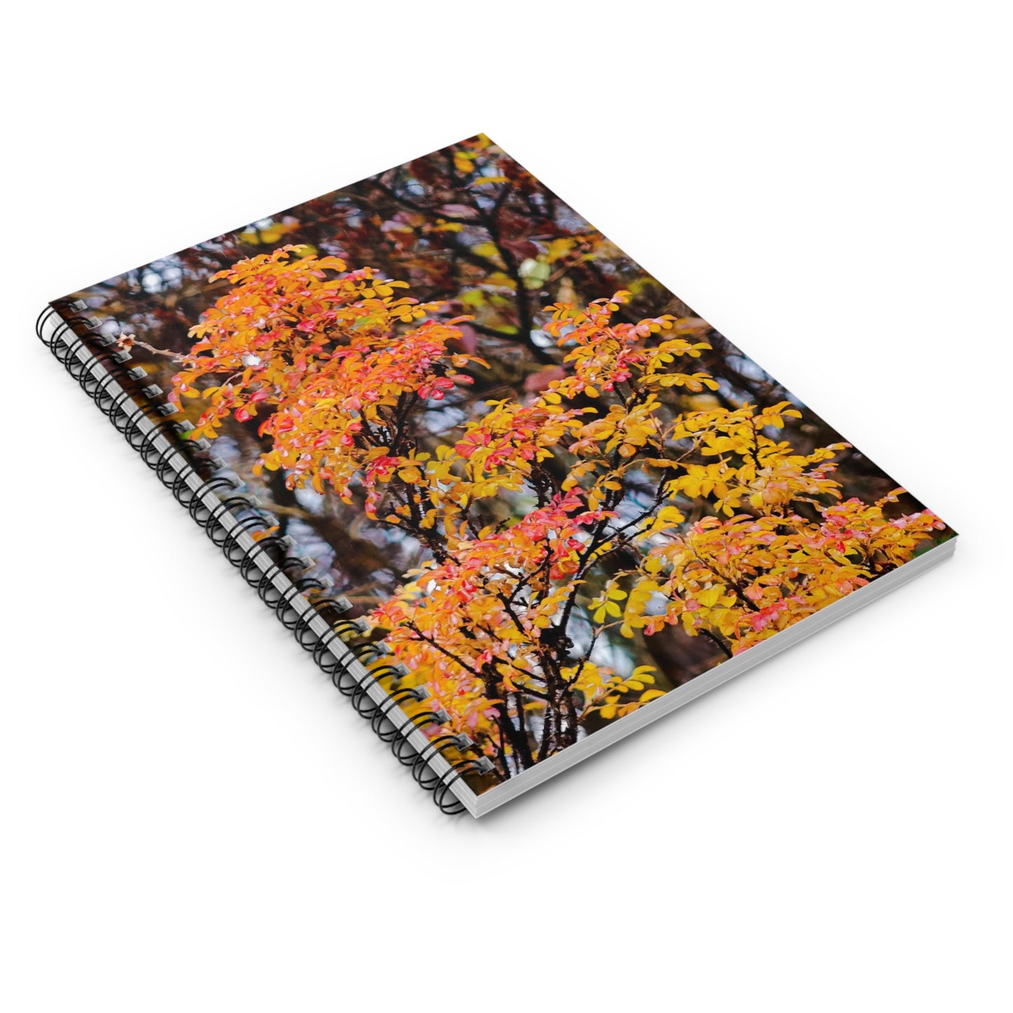 Fall Colors - Spiral Notebook