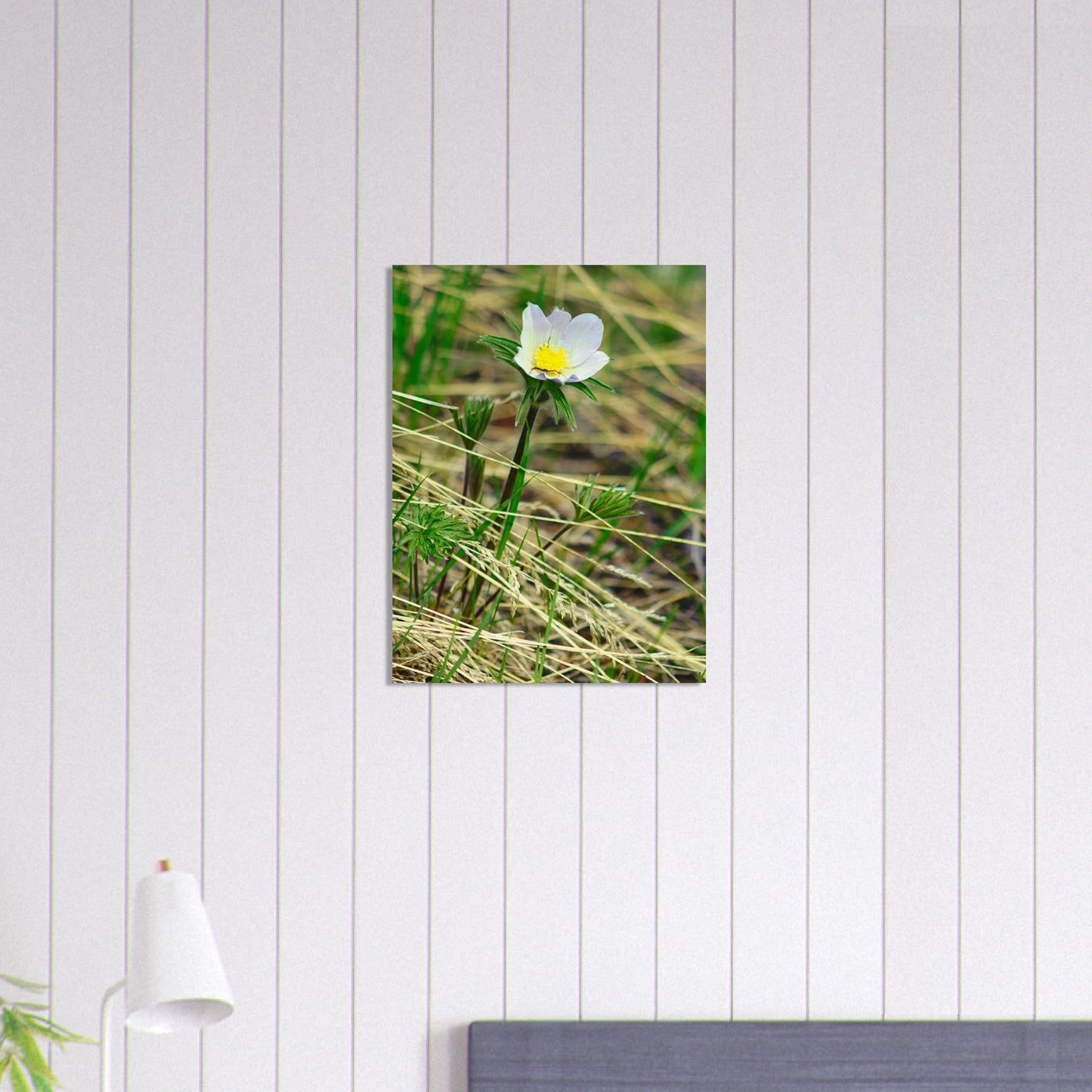 Spider On Flower - Wood Prints