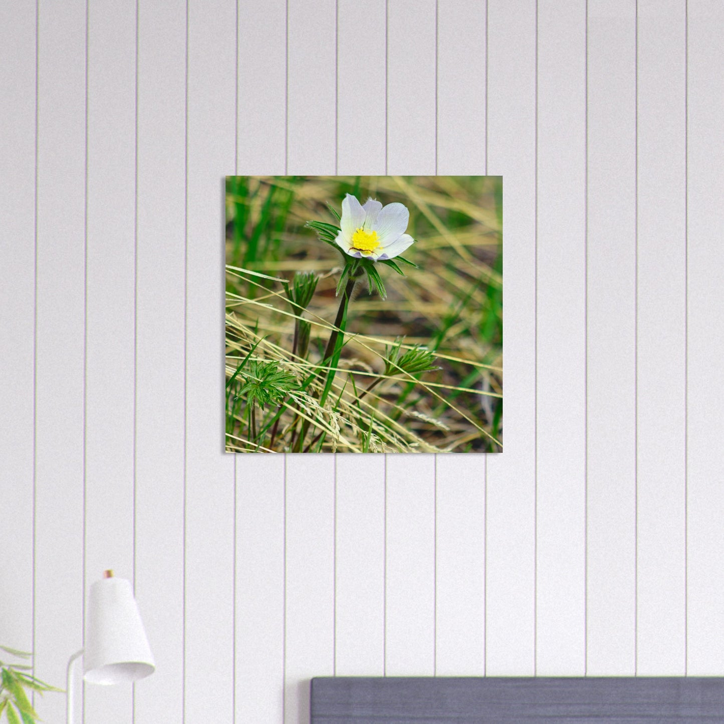 Spider On Flower - Wood Prints