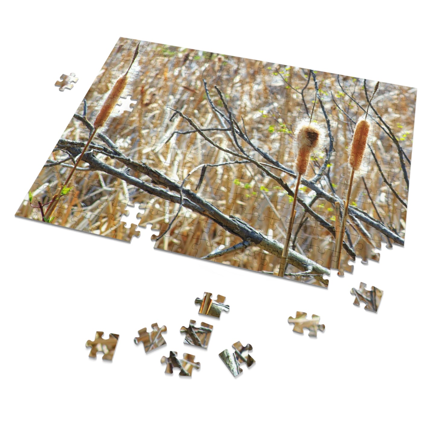 Wetlands - Puzzle