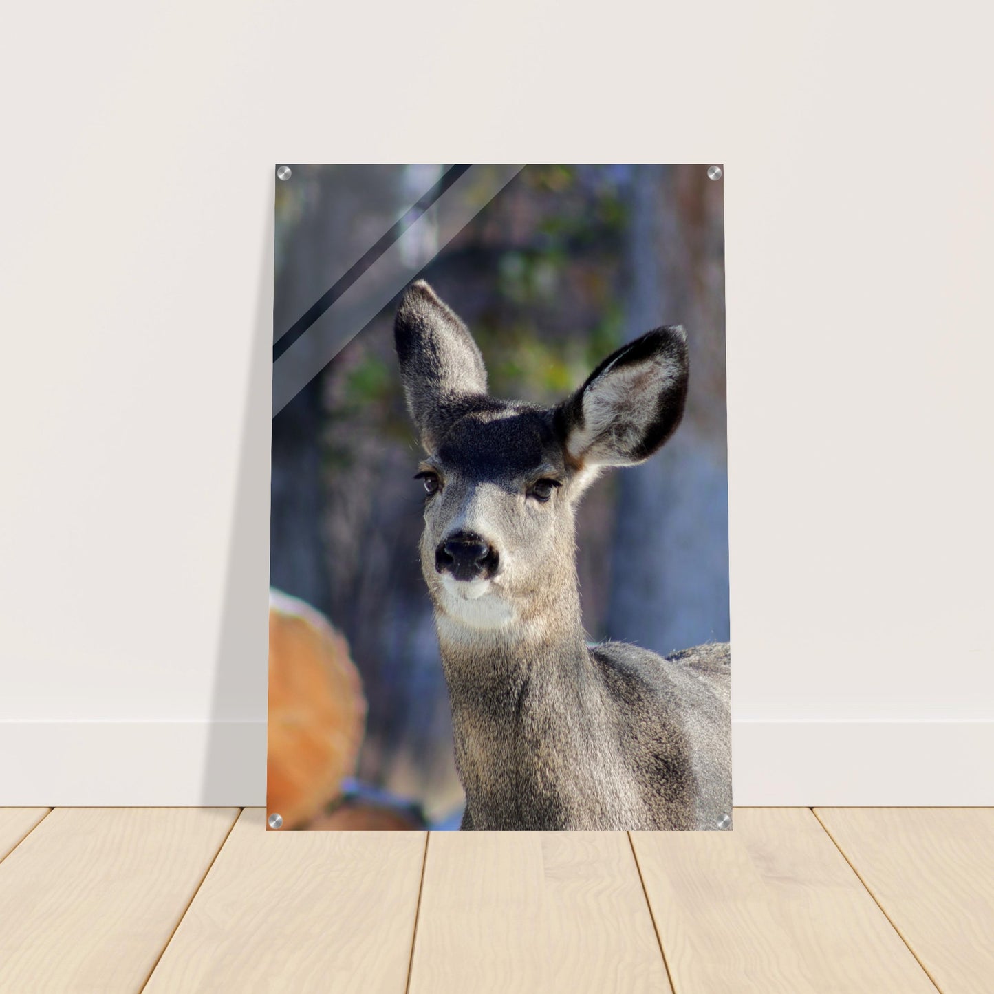 Deer - Acrylic Print