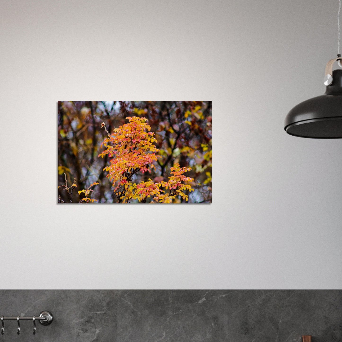 Fall Colors - Canvas