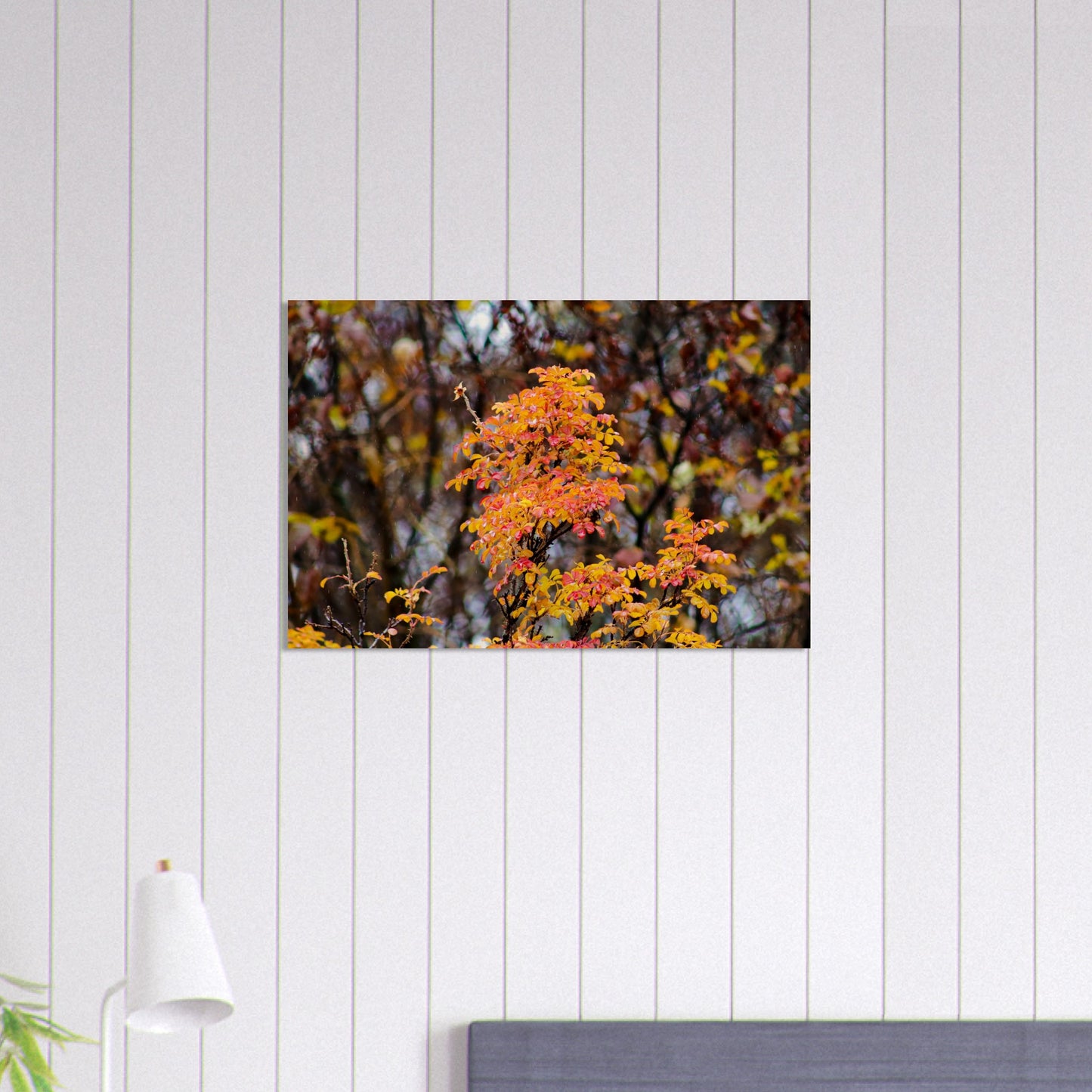 Fall Colors - Wood Prints