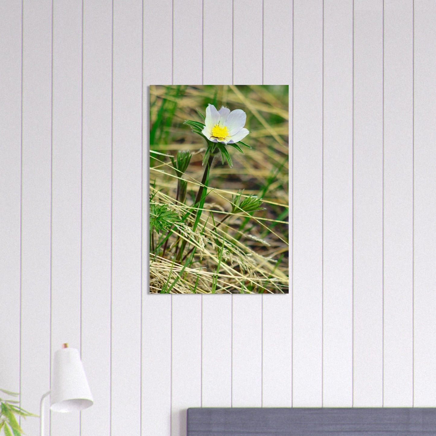 Spider On Flower - Wood Prints