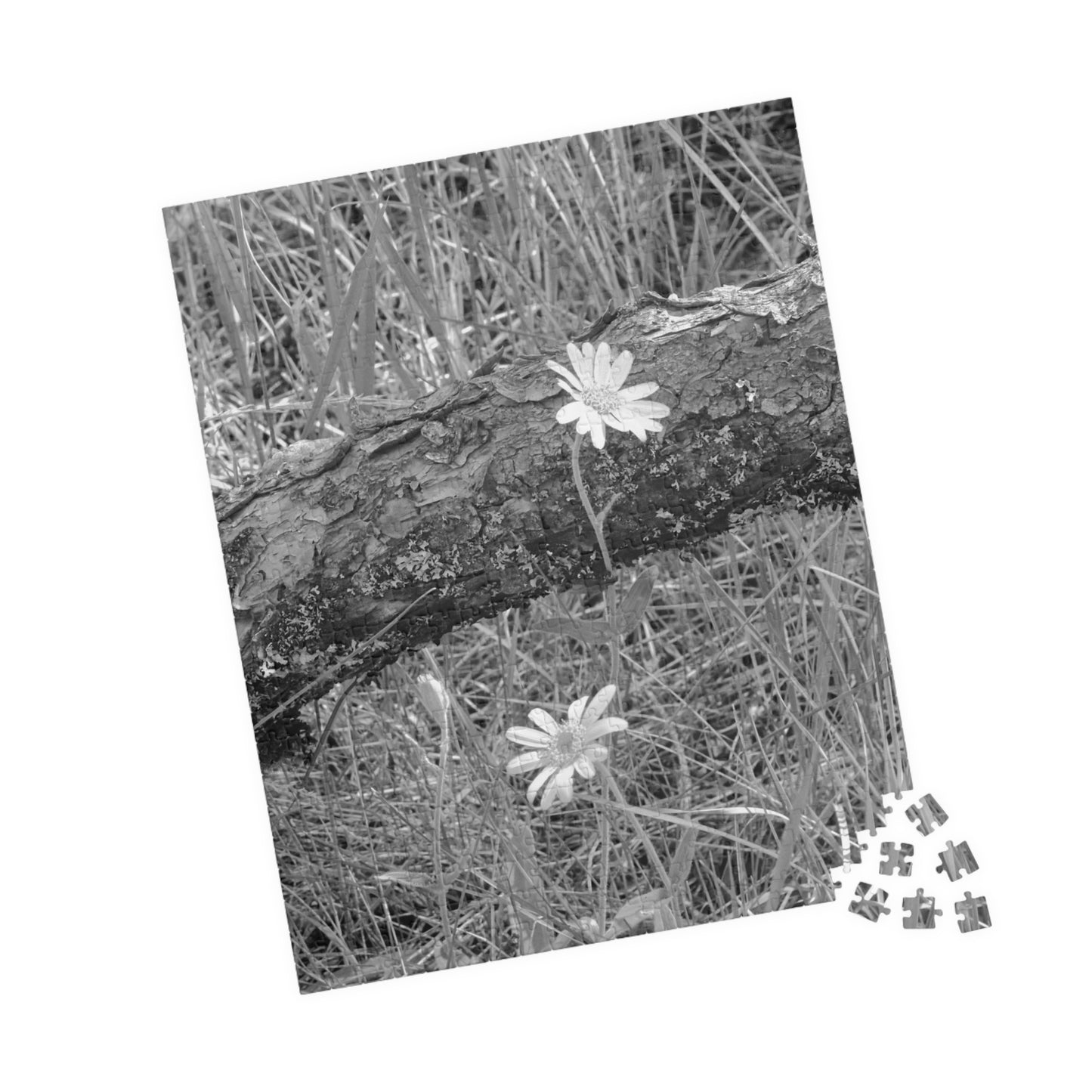 Wildflowers - Puzzle