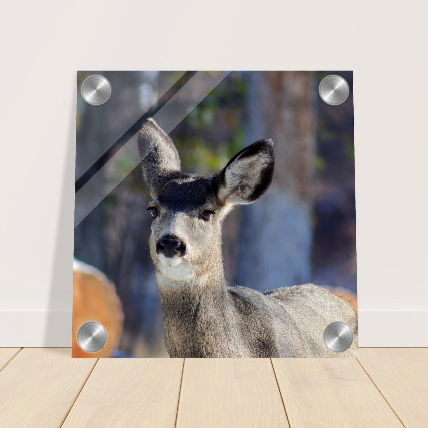 Deer - Acrylic Print