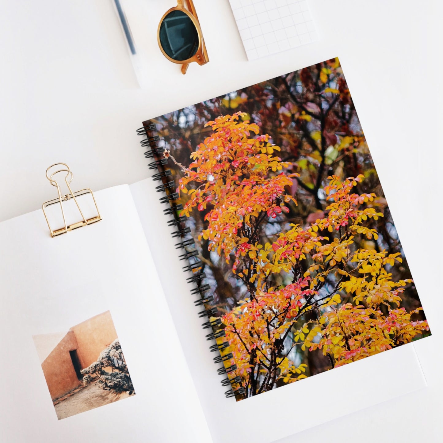 Fall Colors - Spiral Notebook