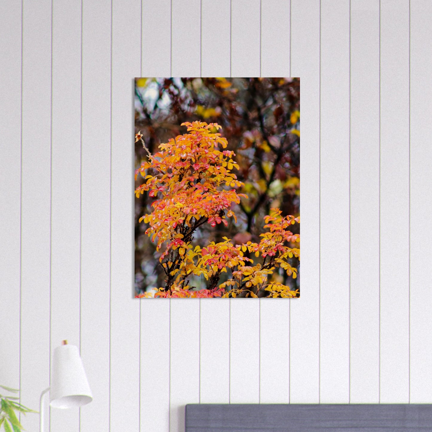 Fall Colors - Wood Prints