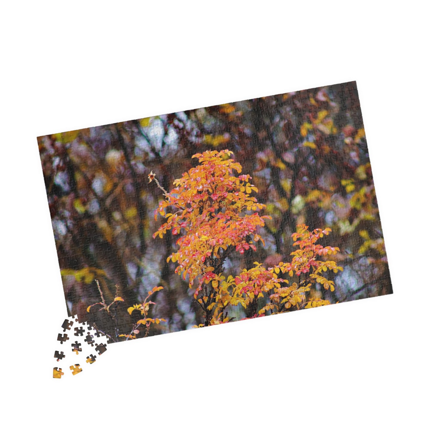 Fall Colors - Puzzle