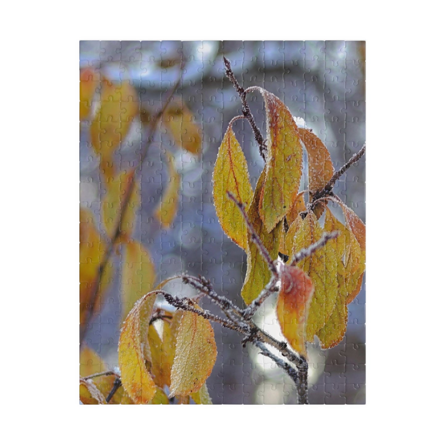 Frost On Fall Leaves - Puzzle