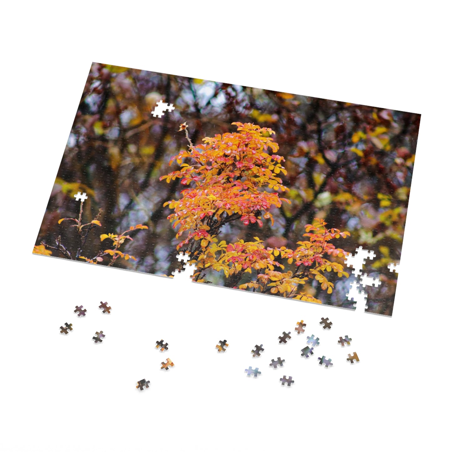 Fall Colors - Puzzle