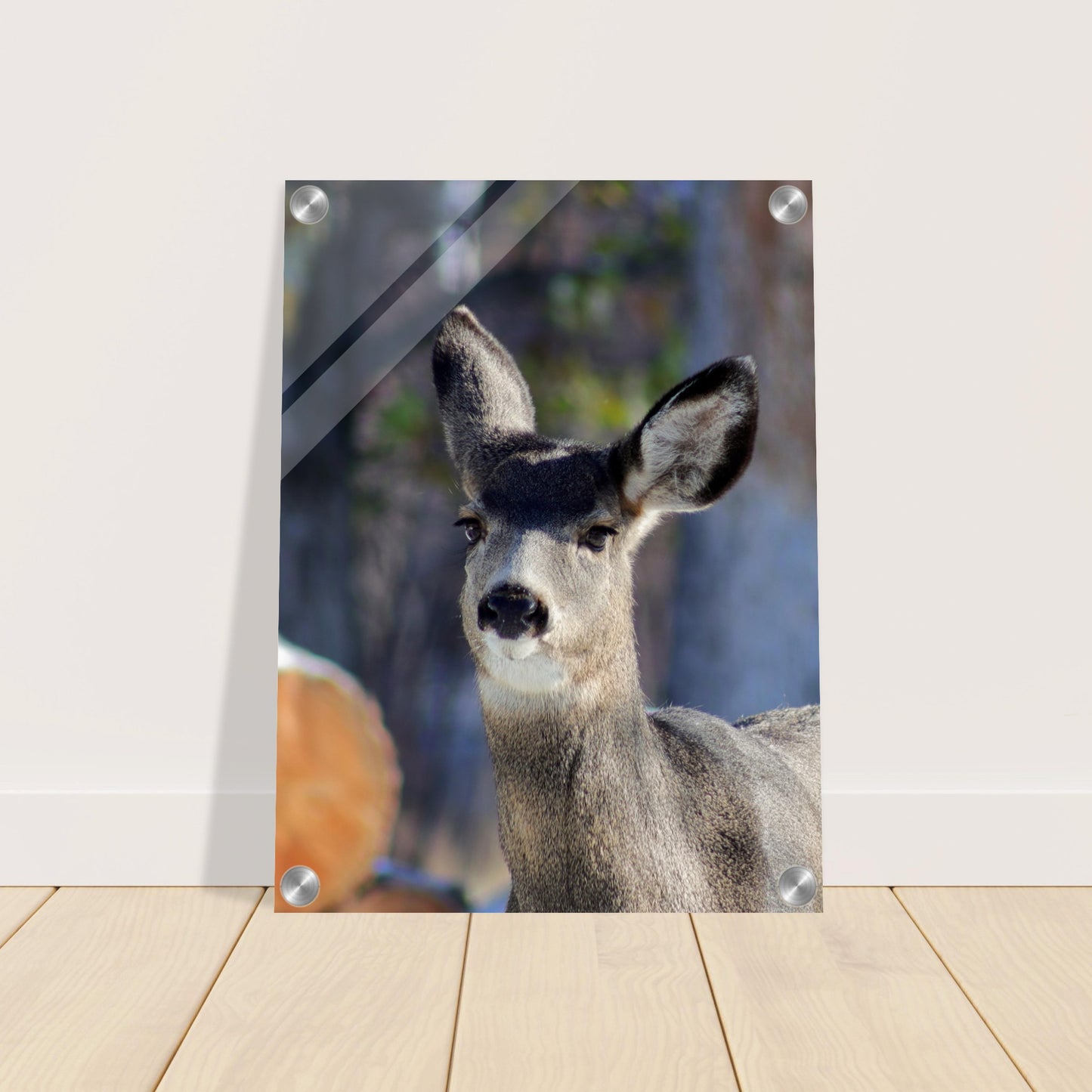 Deer - Acrylic Print