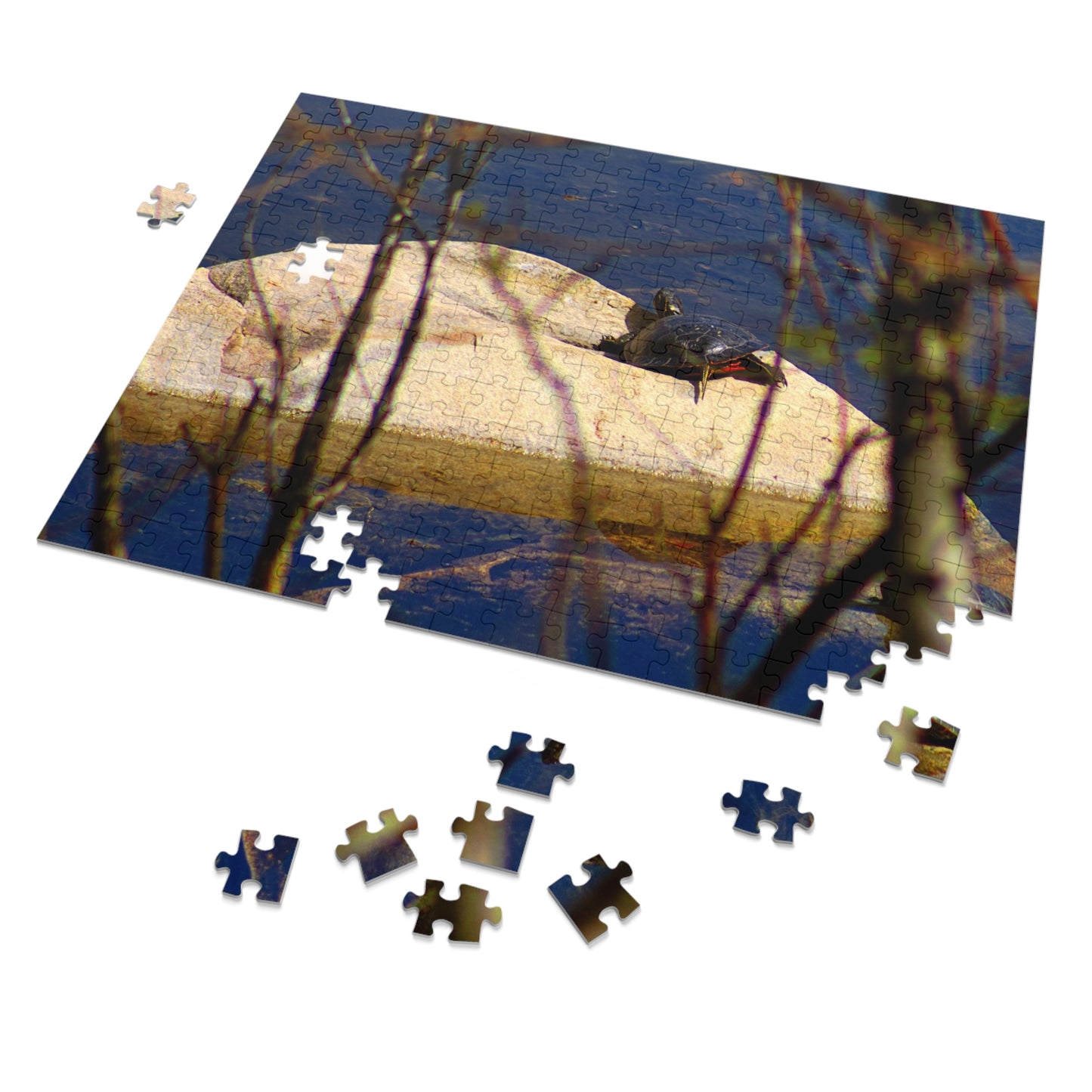 Turtle - Puzzle