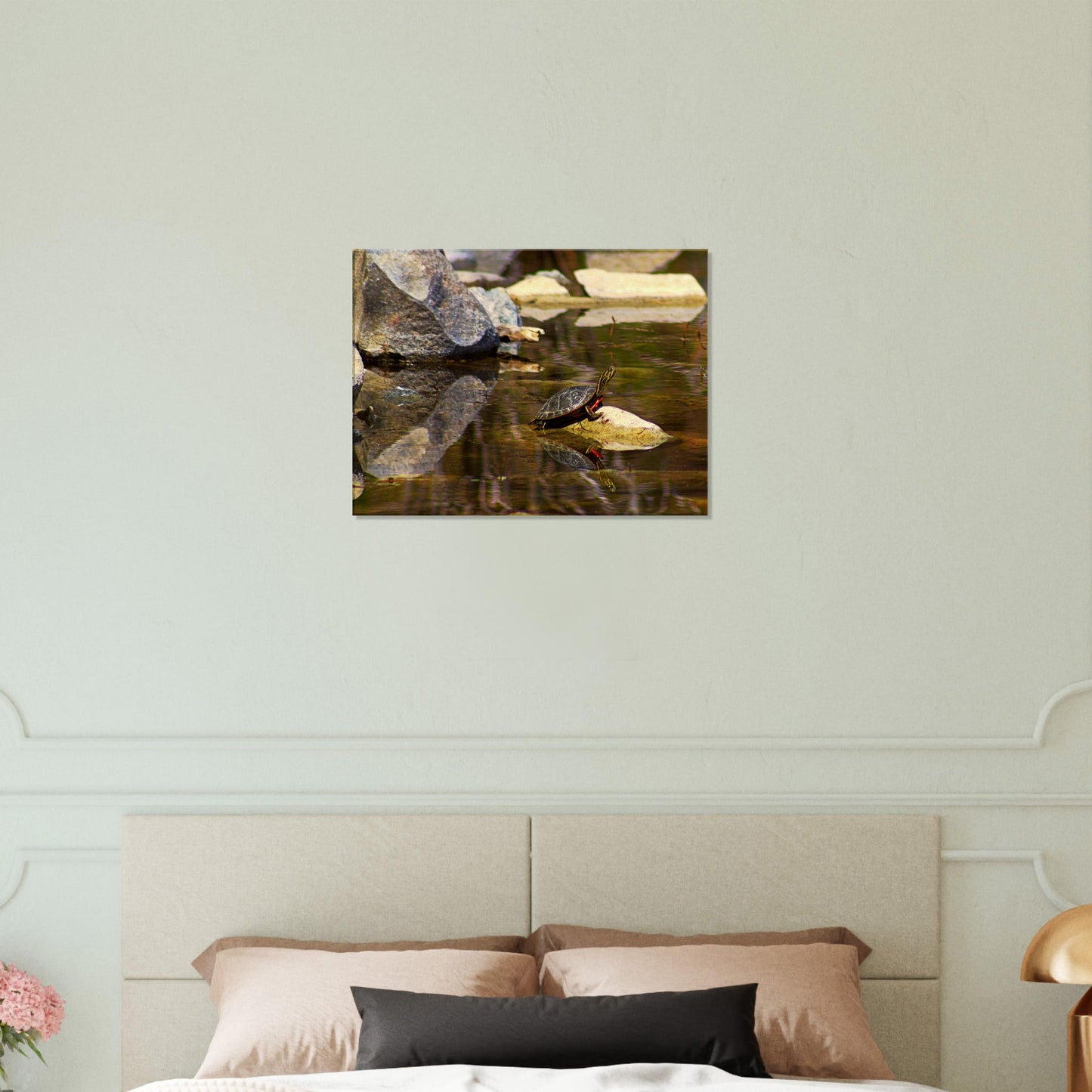 Turtle - Canvas