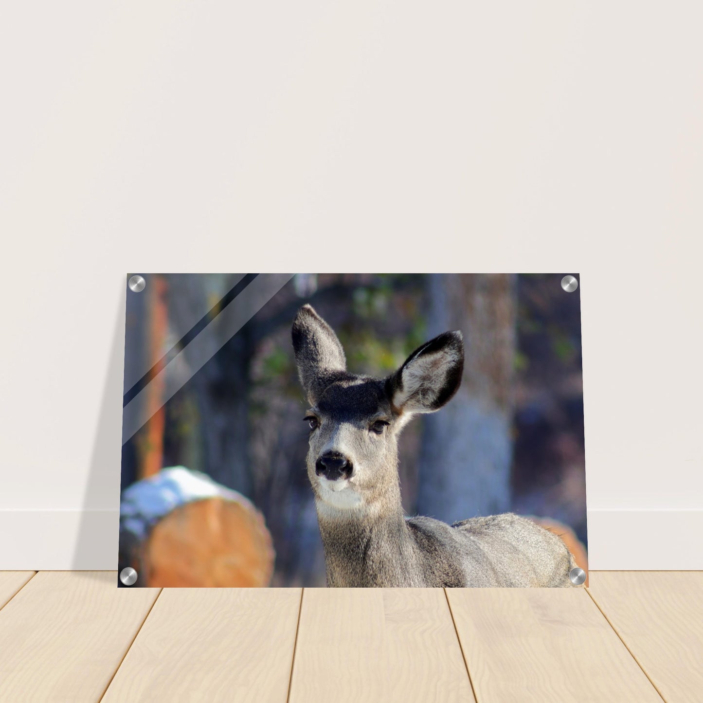 Deer - Acrylic Print