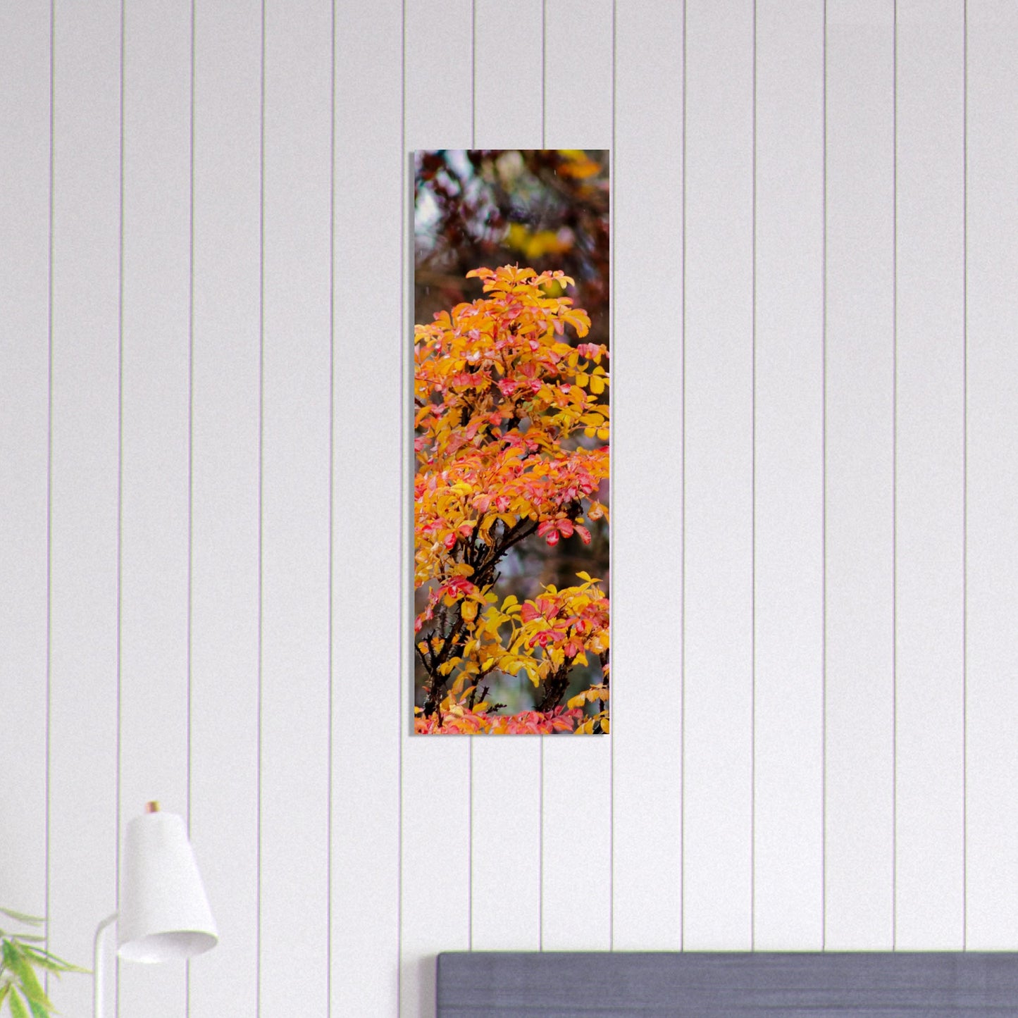 Fall Colors - Wood Prints