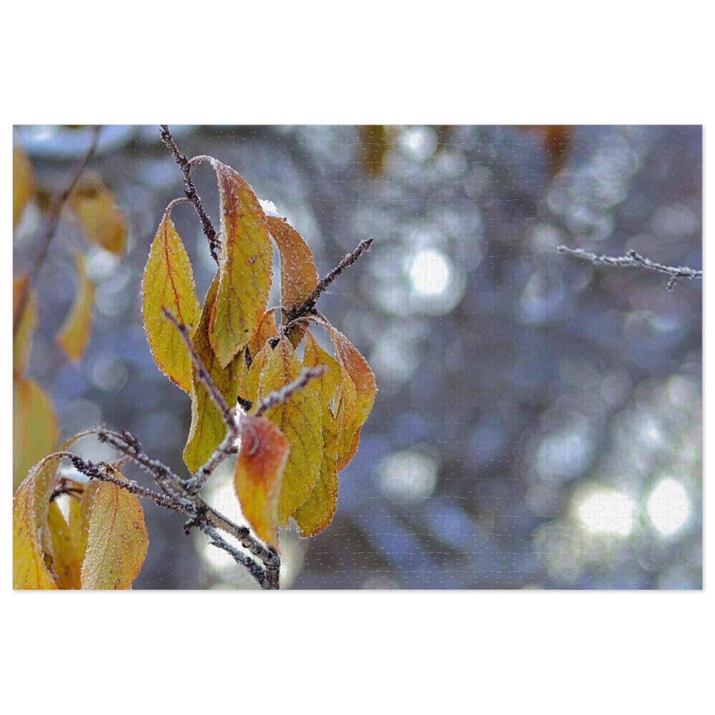 Frost On Fall Leaves - Puzzle