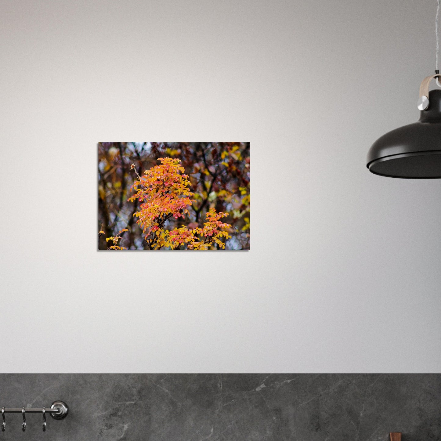 Fall Colors - Canvas