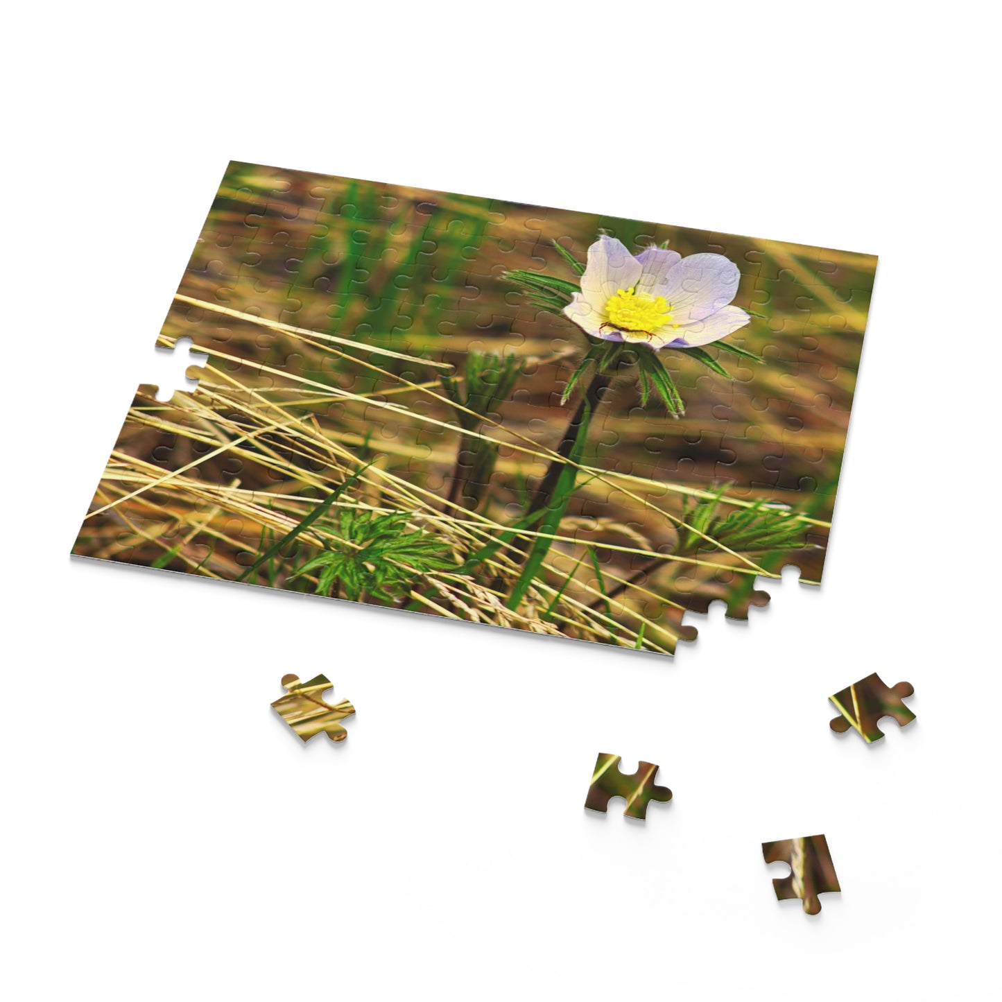 Spider On Flower - Puzzle