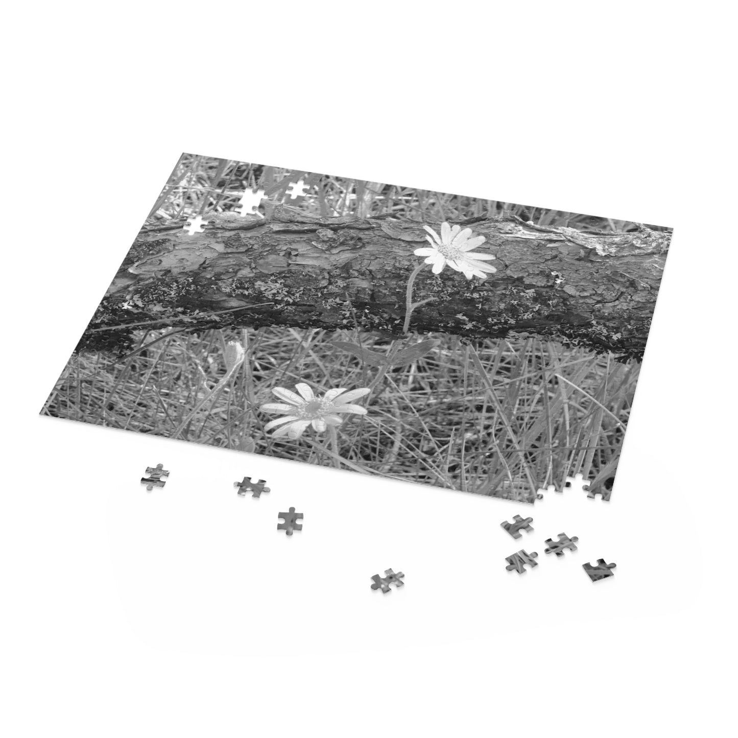 Wildflowers - Puzzle