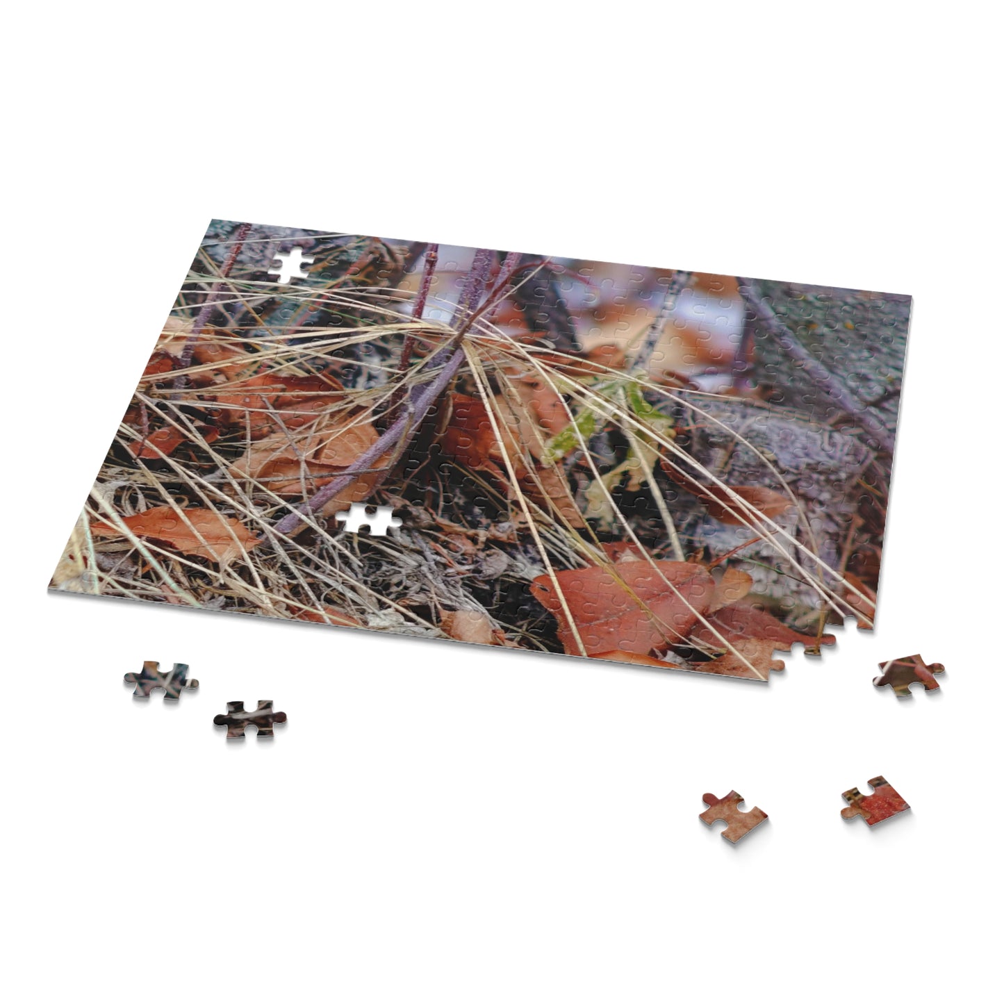 Forest Floor - Puzzle