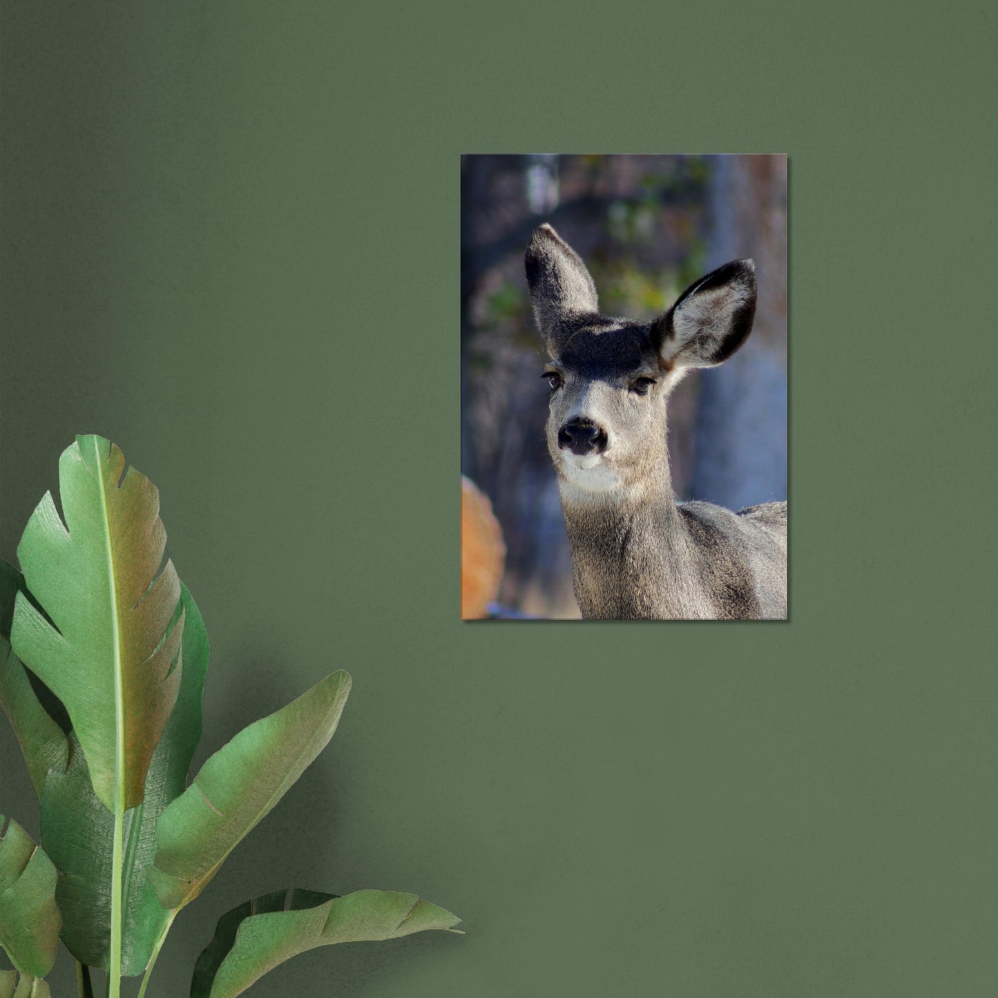 Deer - Canvas