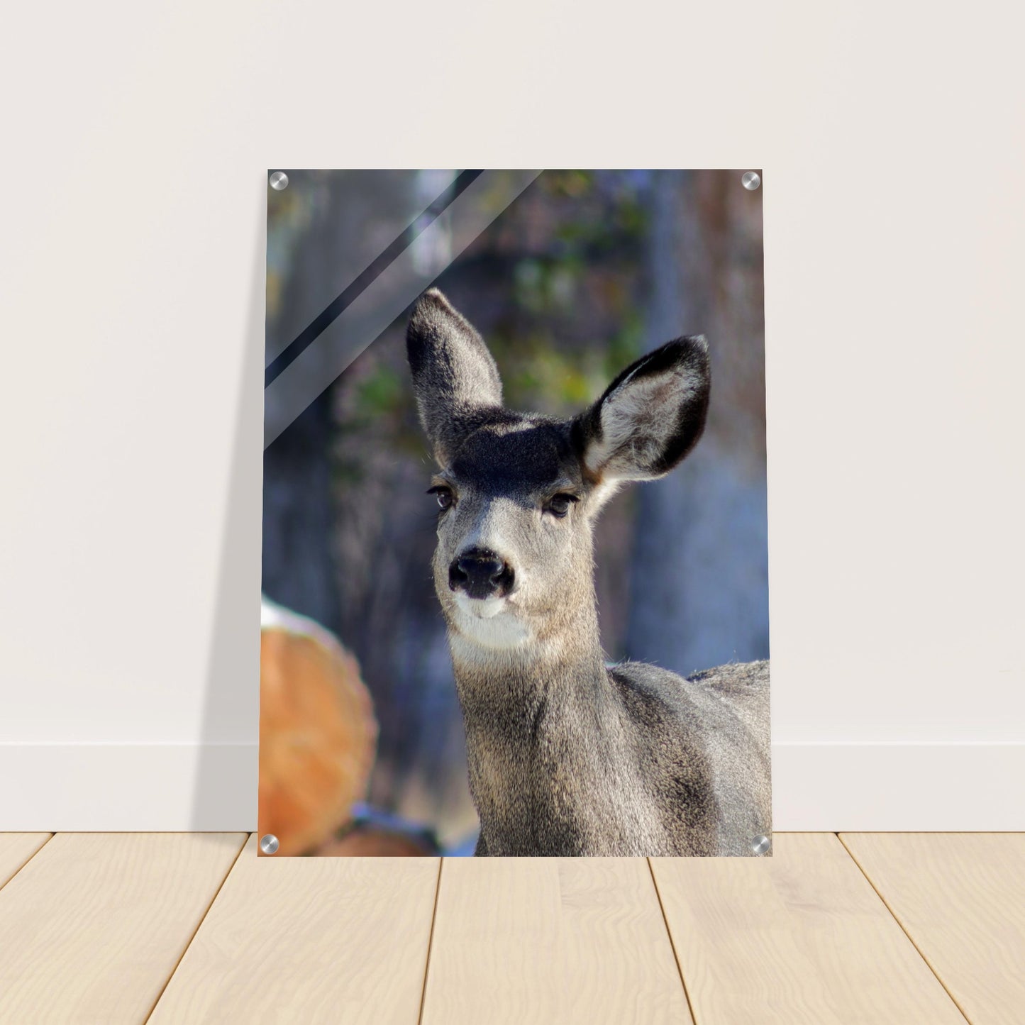 Deer - Acrylic Print