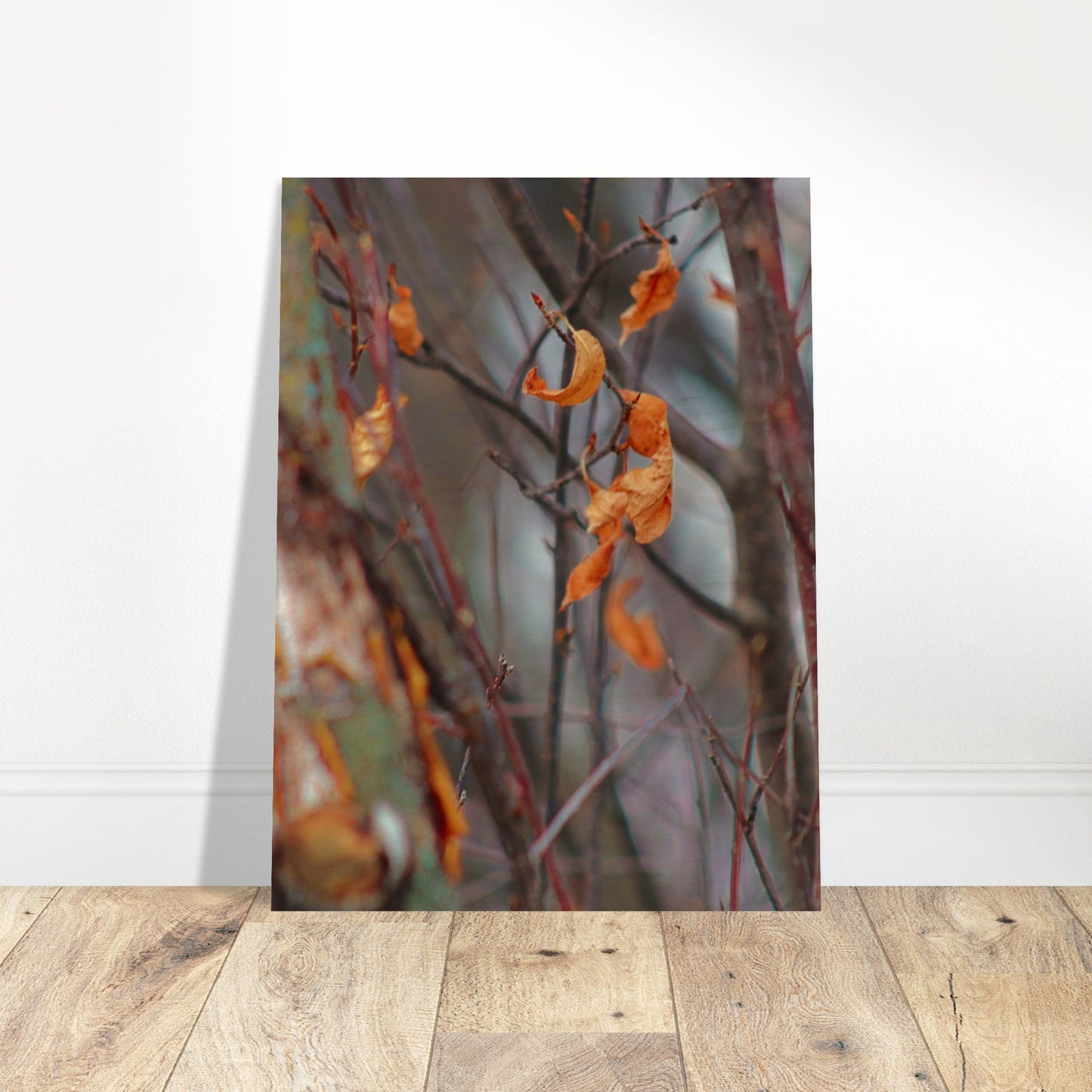 Floating Leaves - Wood Prints