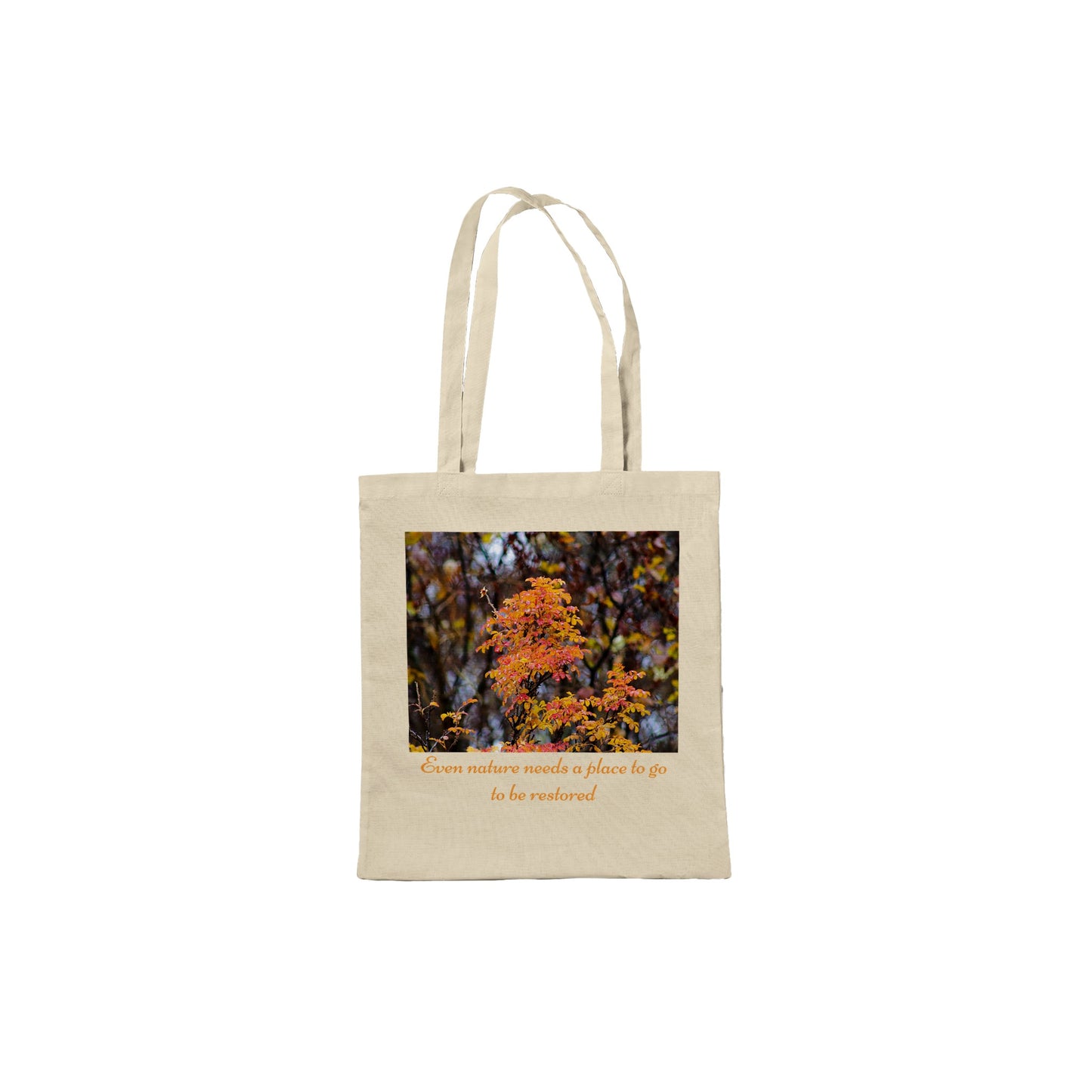 Fall Colors - Classic Tote Bag