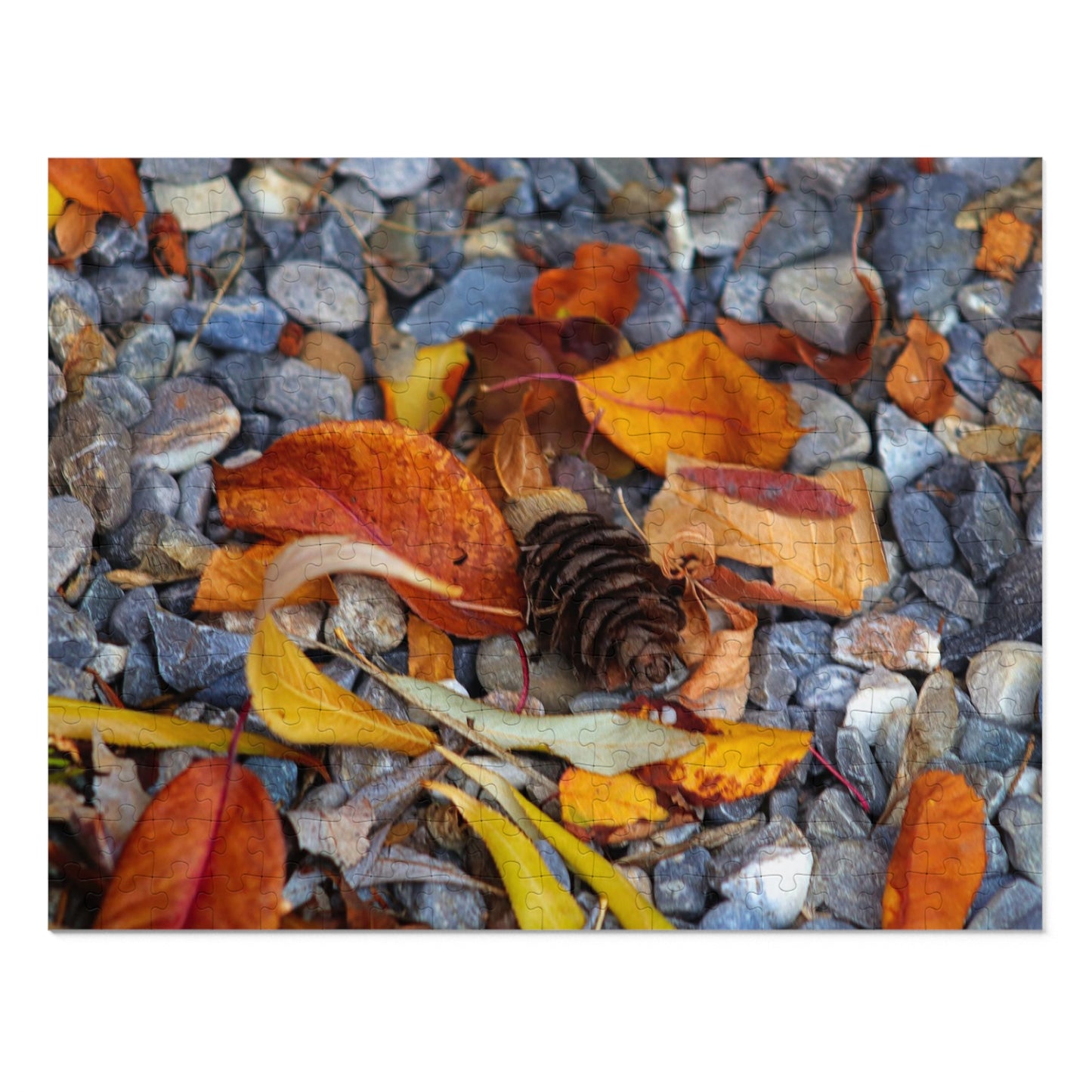 Leaves On Rocks - Puzzle